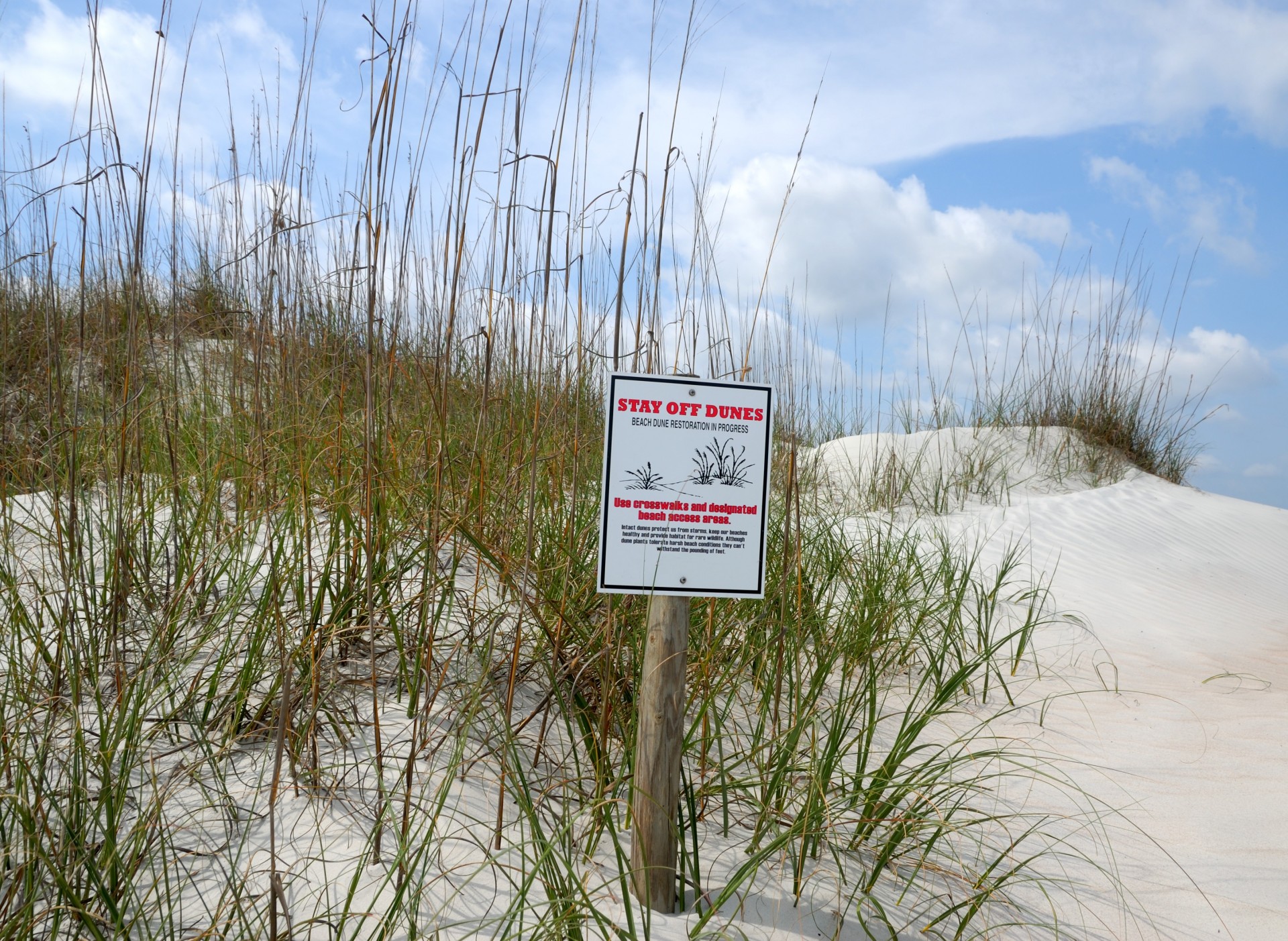 Stay Off Sand Dunes Sign Free Stock Photo - Public Domain Pictures
