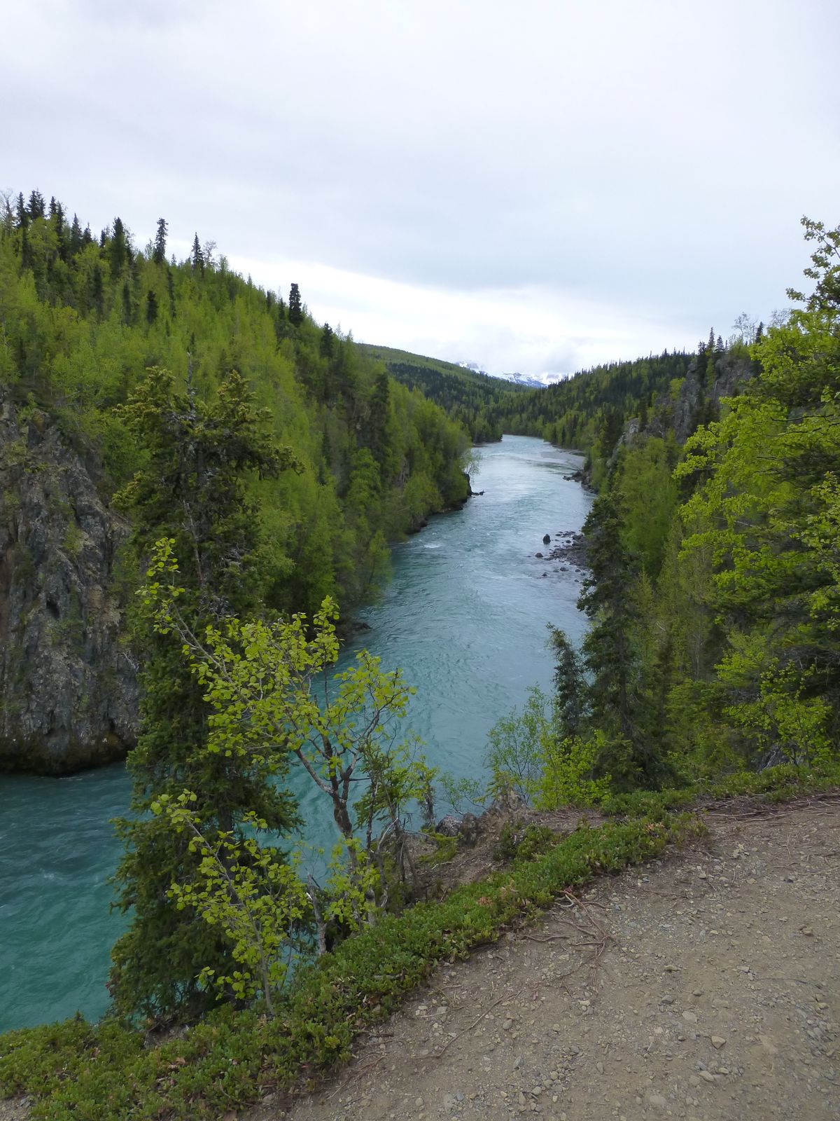 Easy hike offers gorgeous Kenai River views - Anchorage Daily News