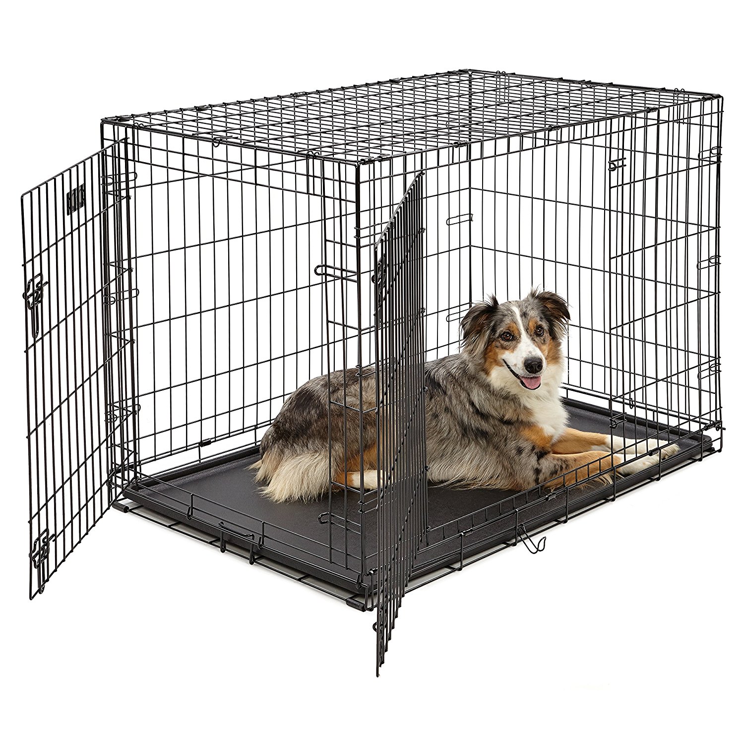 Amazon.com : Large Dog Crate | MidWest iCrate Double Door Folding ...