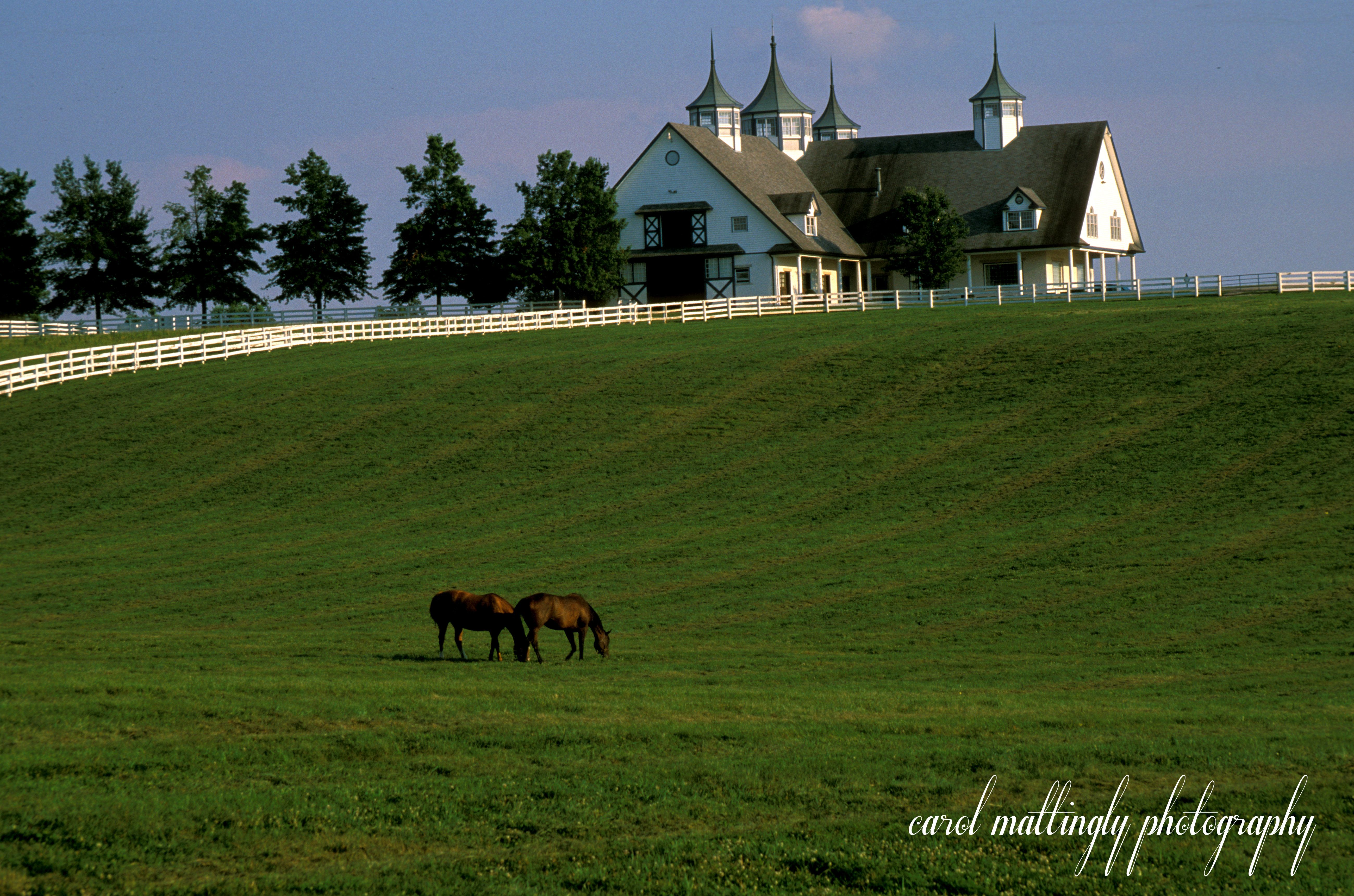 Manchester Farms Horse Farm, Lexington, Kentucky. | BARNS | Pinterest