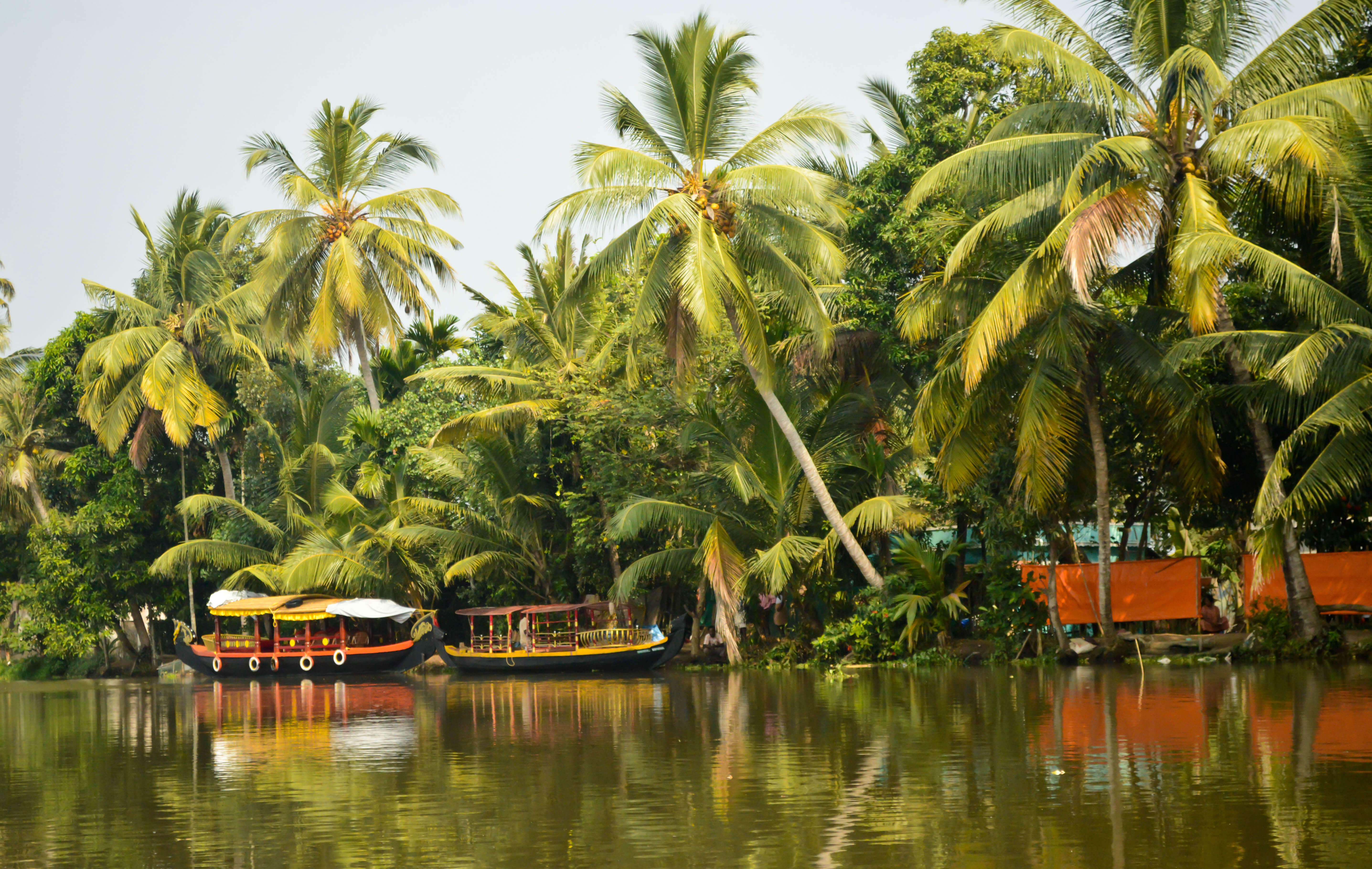 The Backwaters of Kerala for Honeymooners - Thomas Cook India