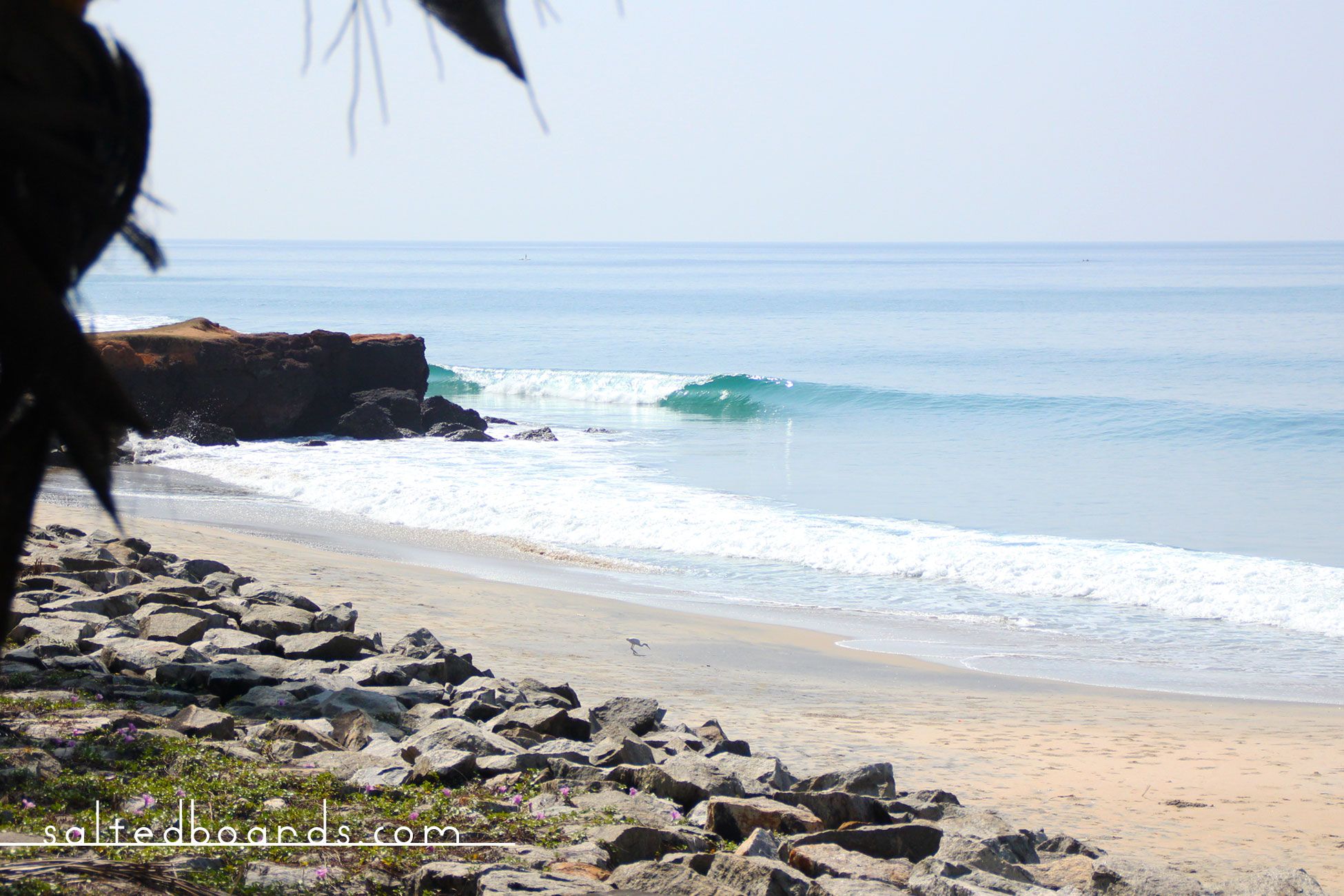 Salted Boards | Surfing pointbreaks in Varkala, India #surf #wave ...