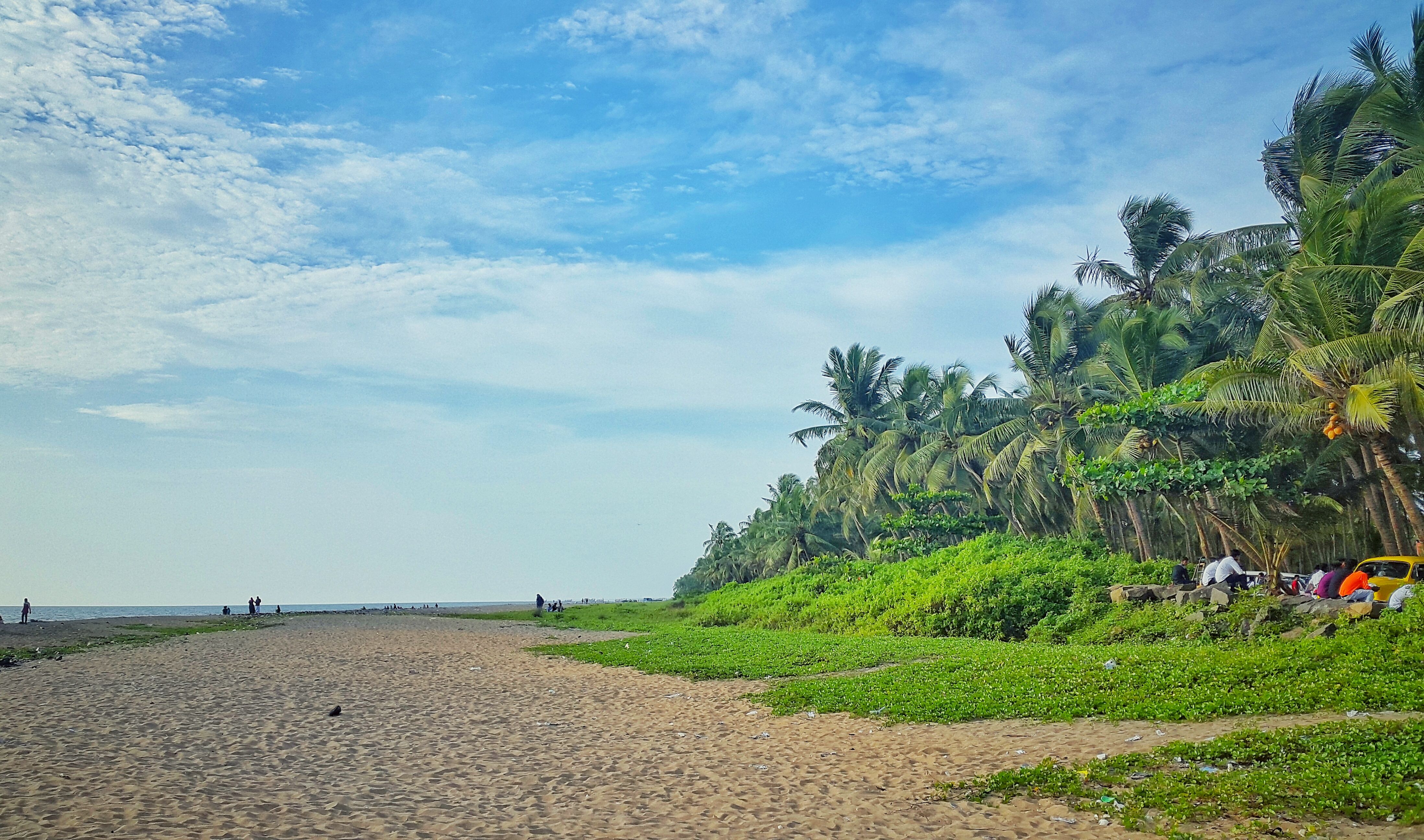 Kerala beach | Landscape | Pinterest | Kerala