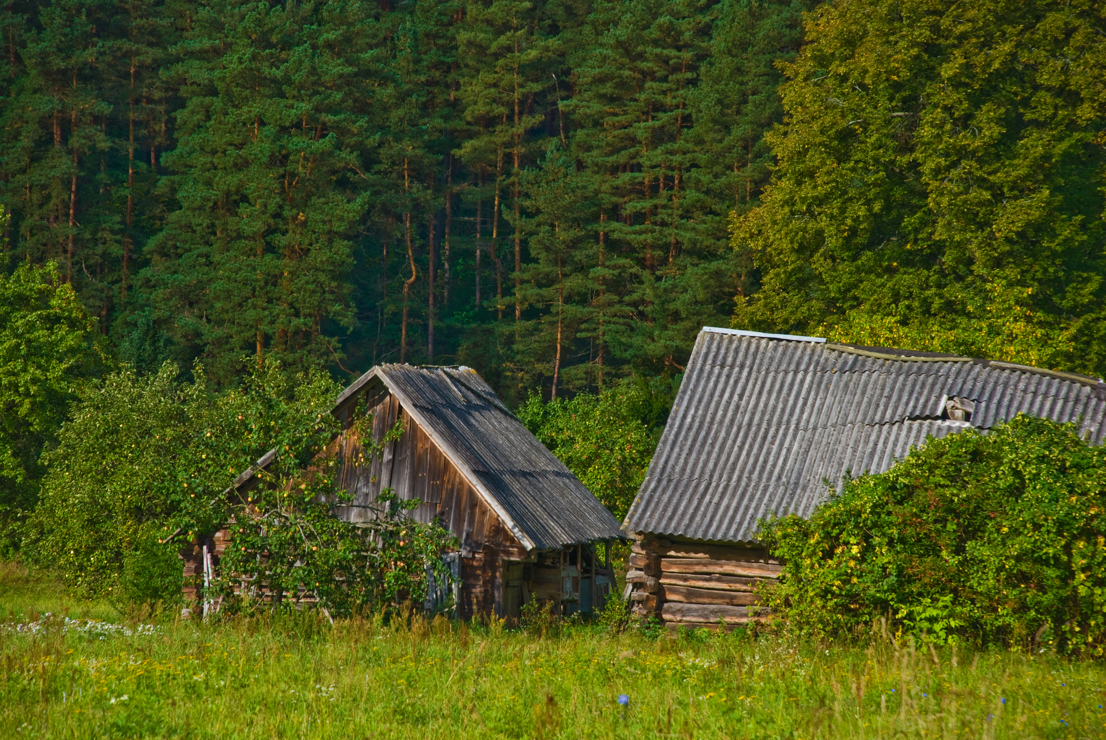 File:Near Kernave, Lithuania, 11 Sept. 2008 - Flickr - PhillipC.jpg ...