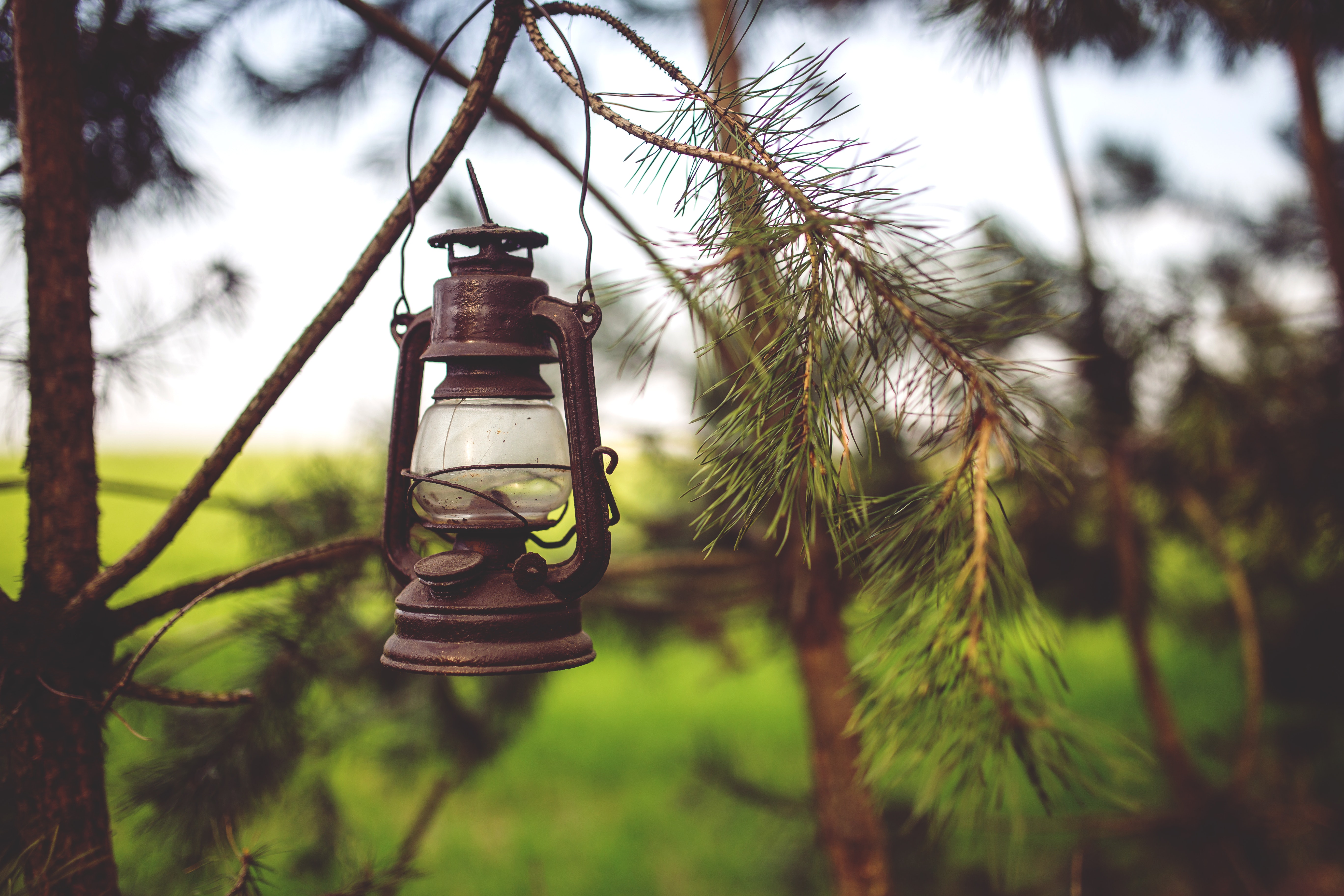 Kerosene lamp in the woods, Abies, Lighting, Wood, Winter, HQ Photo