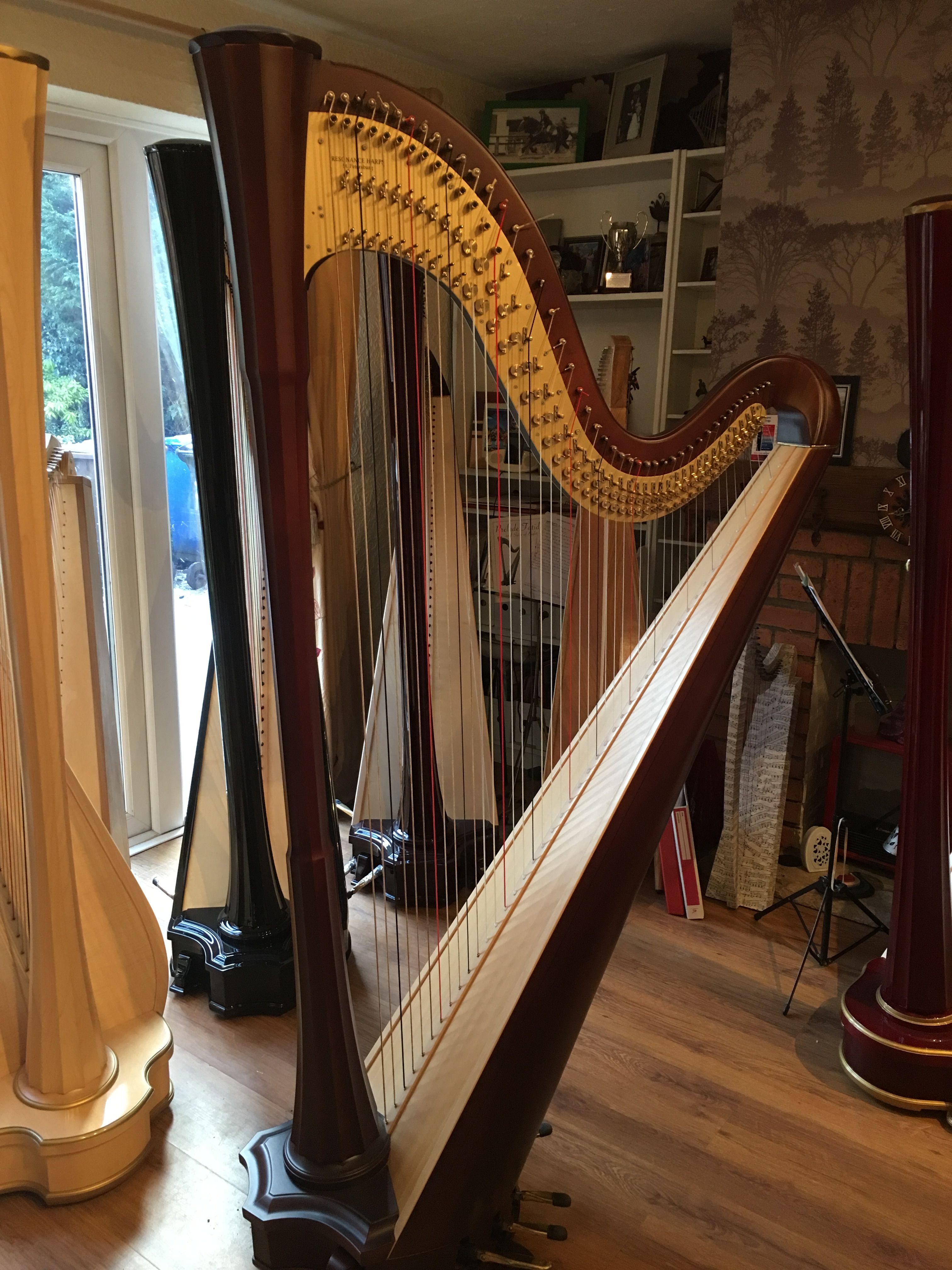 SNOW DAY SPECIAL OFFER walnut NEVA 46 concert harp £6800 inc vat ...