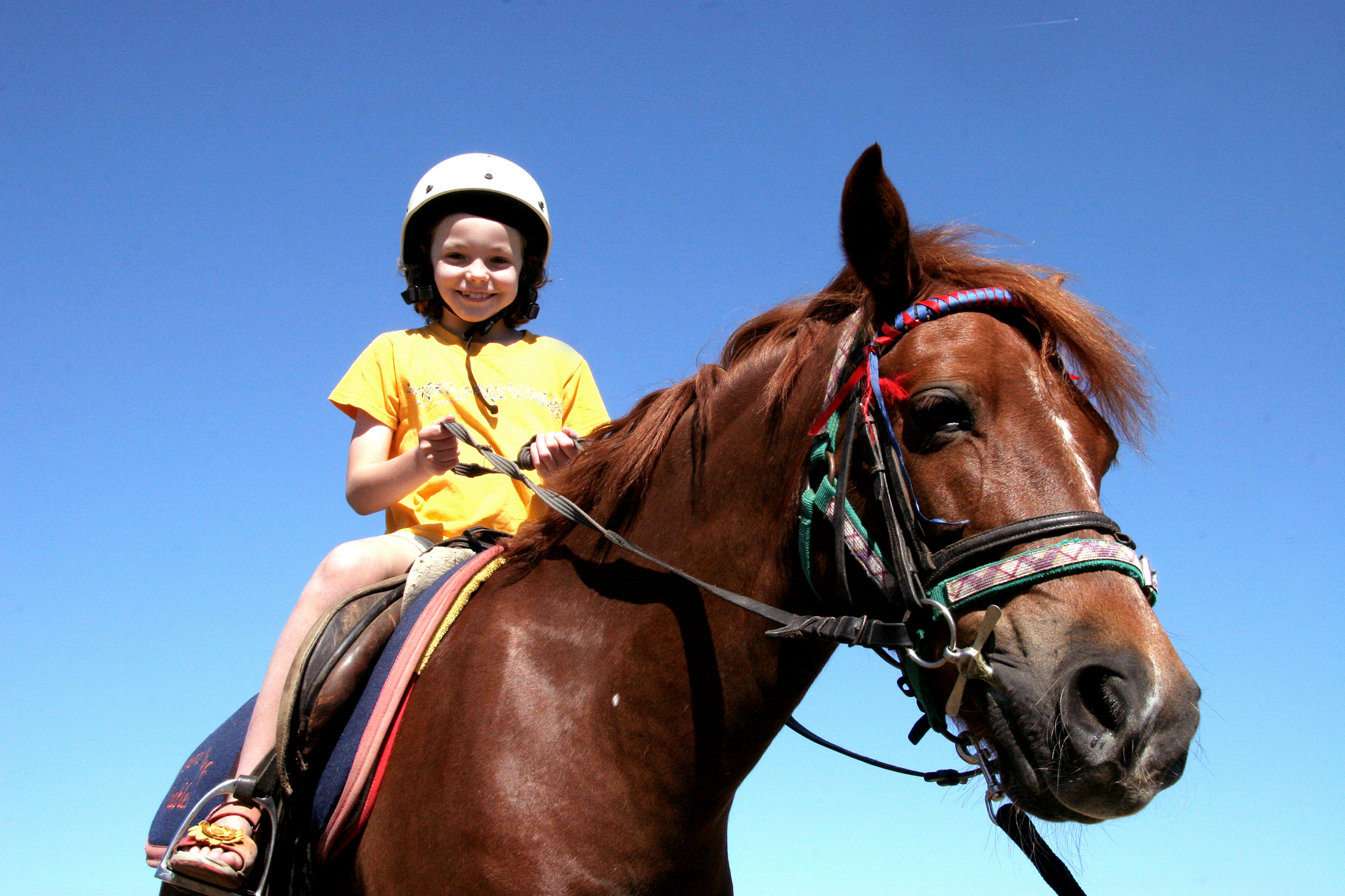 Pony Rides For Kid Party | Birthday Pony Rides Miami | A Rivera Event
