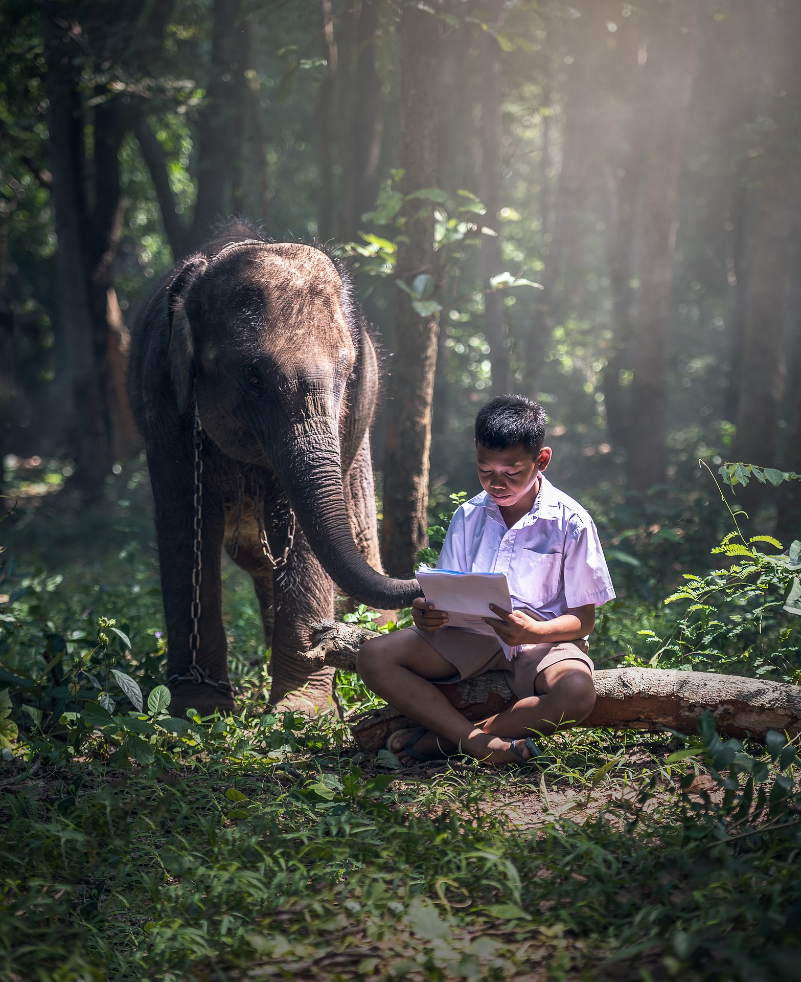 Kid with the elephant photo