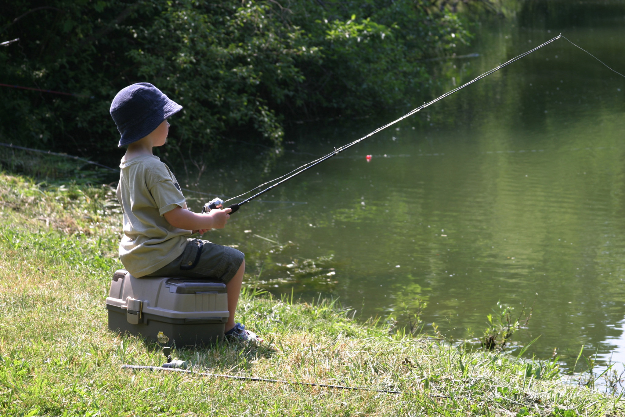 Small Parma pond a perfect spot for kid's fishing | cleveland.com