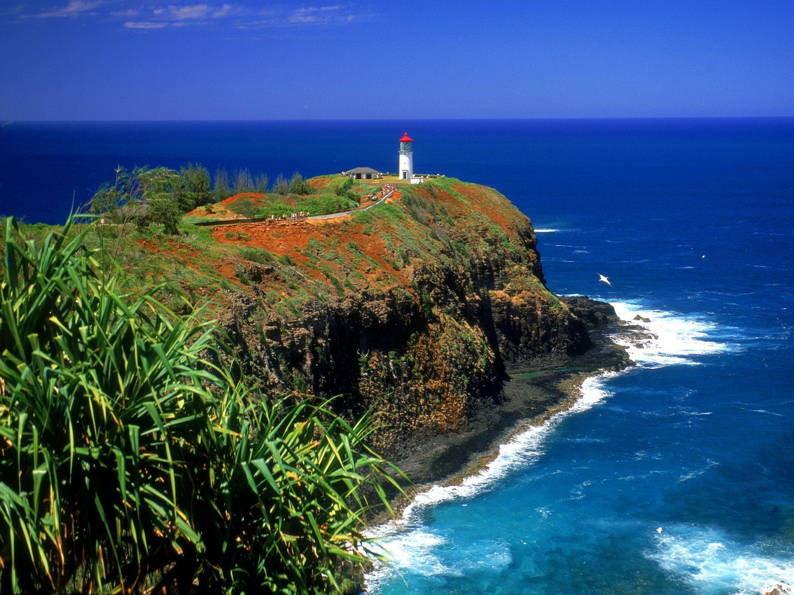 Kilauea Lighthouse Kauai Hawaii. It really is that pretty in person ...