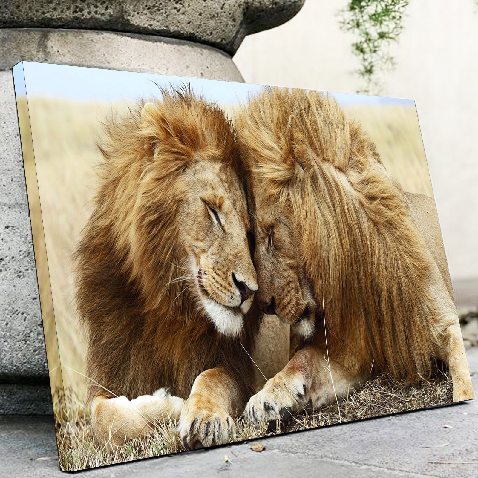 Kissing Lions Canvas Set - Canvas Freaks