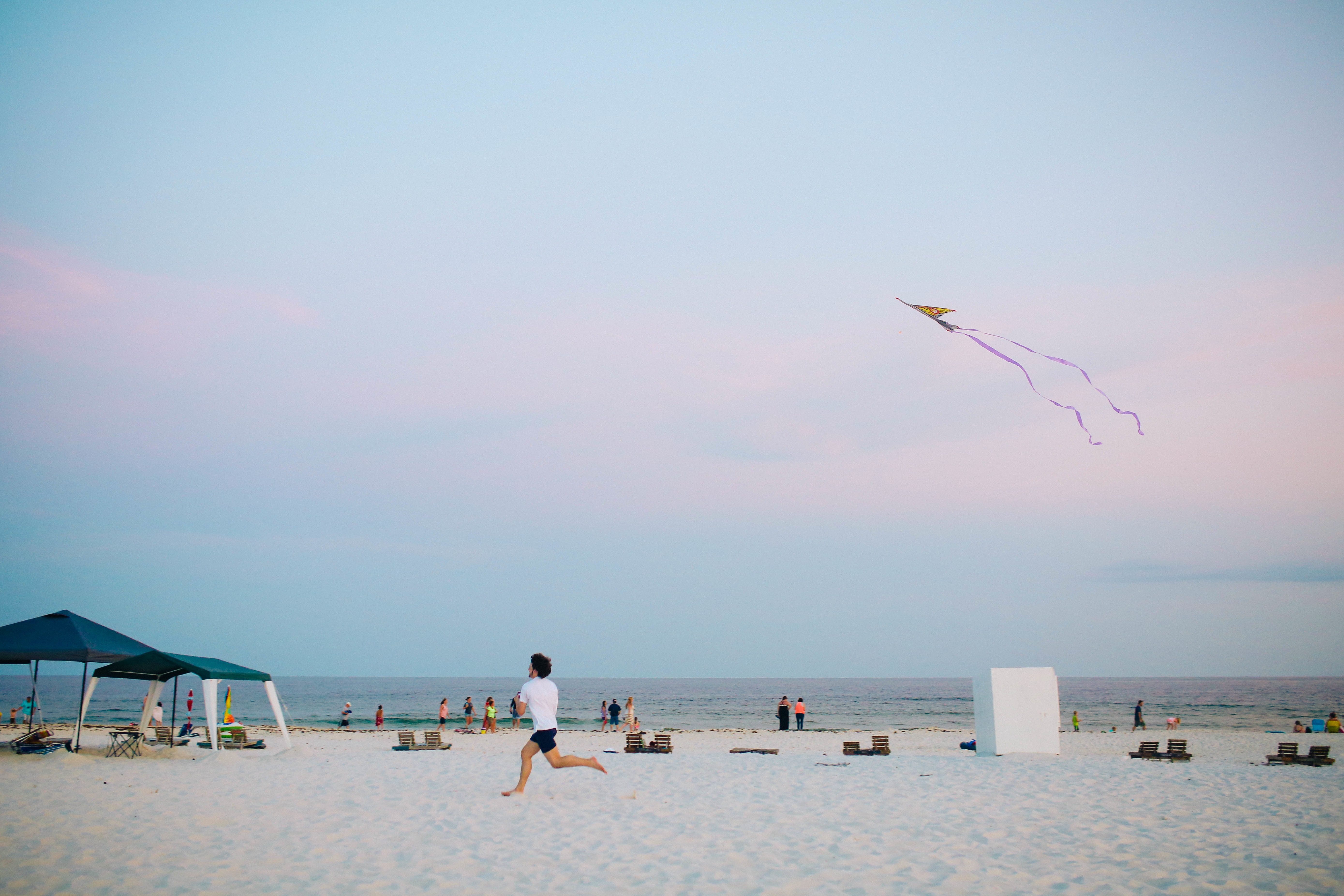 Kite, Activity, Beach, Fly, Flying, HQ Photo