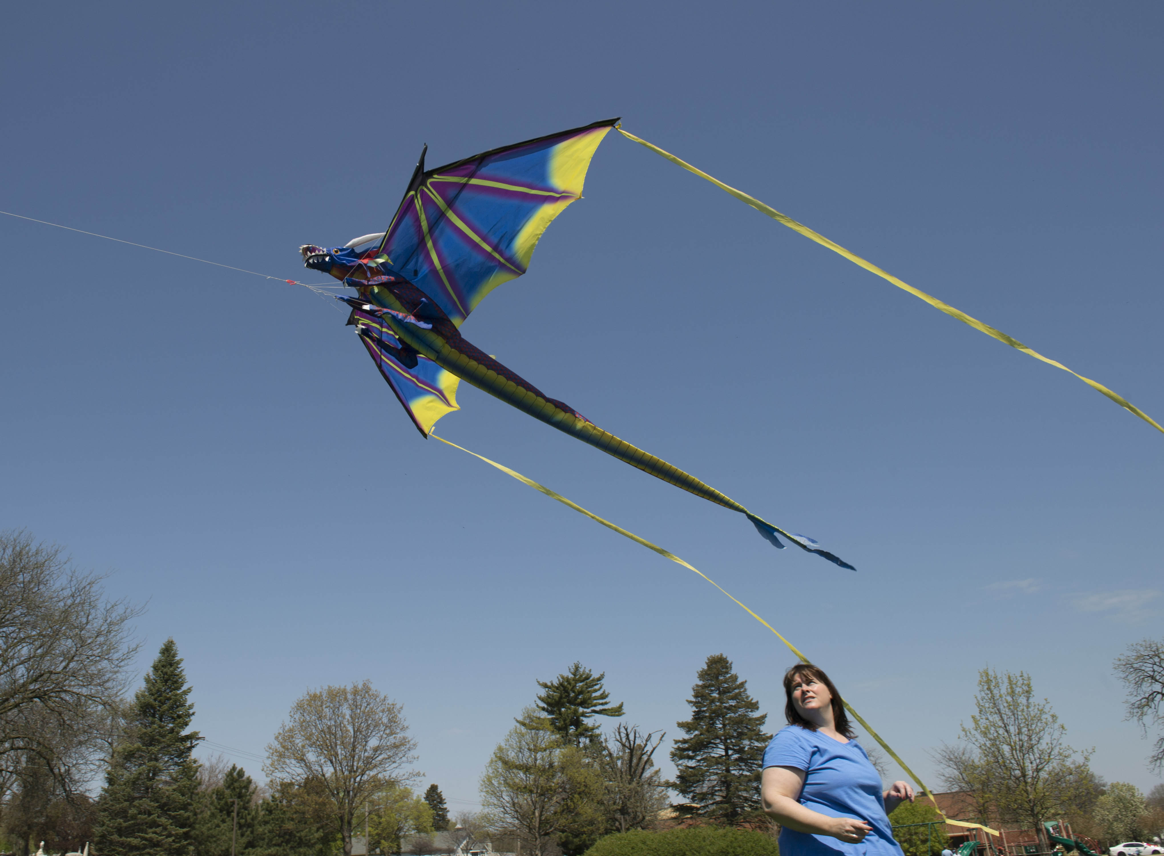 Family Kite Day - Fox Valley Park District