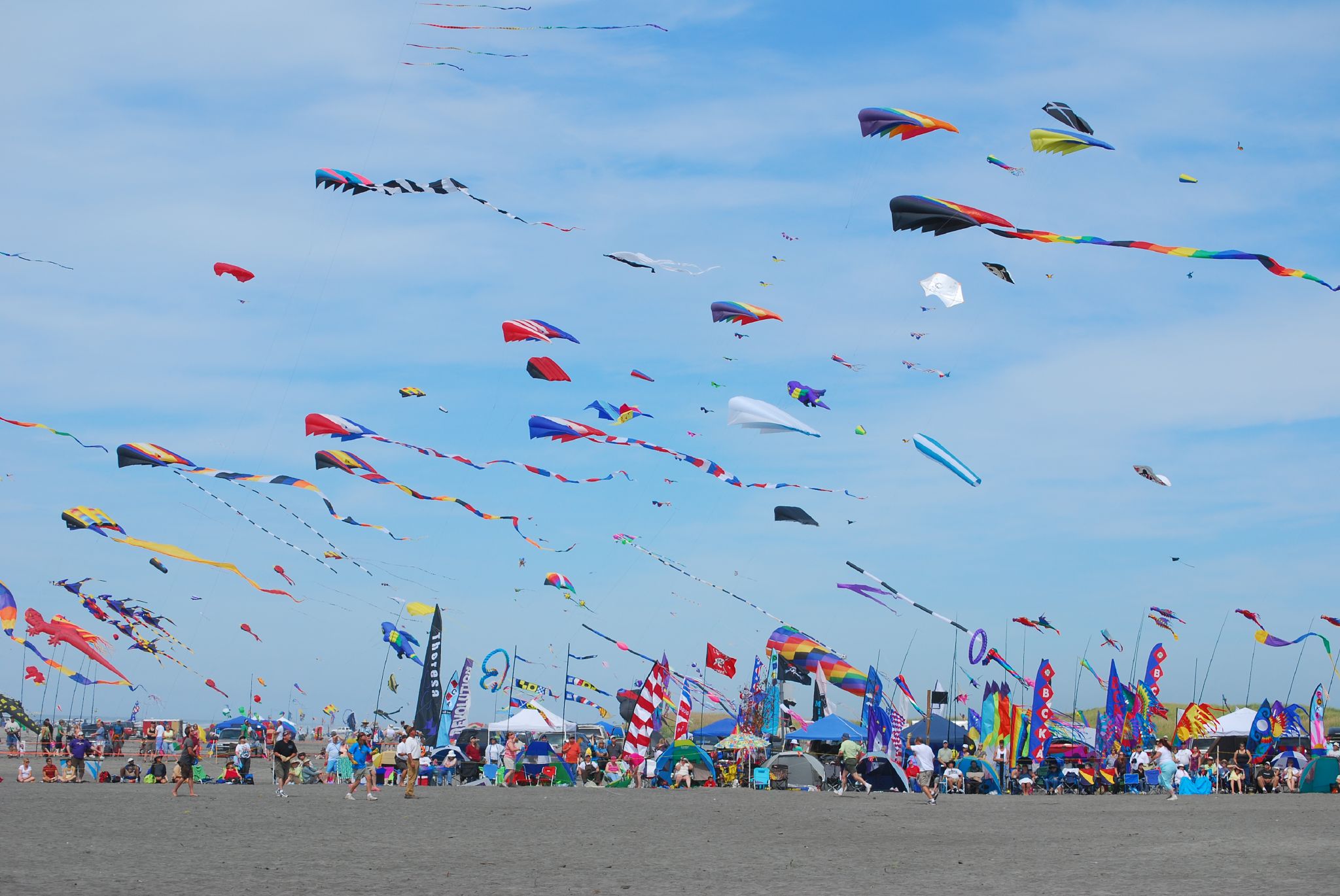 Kite festival photo