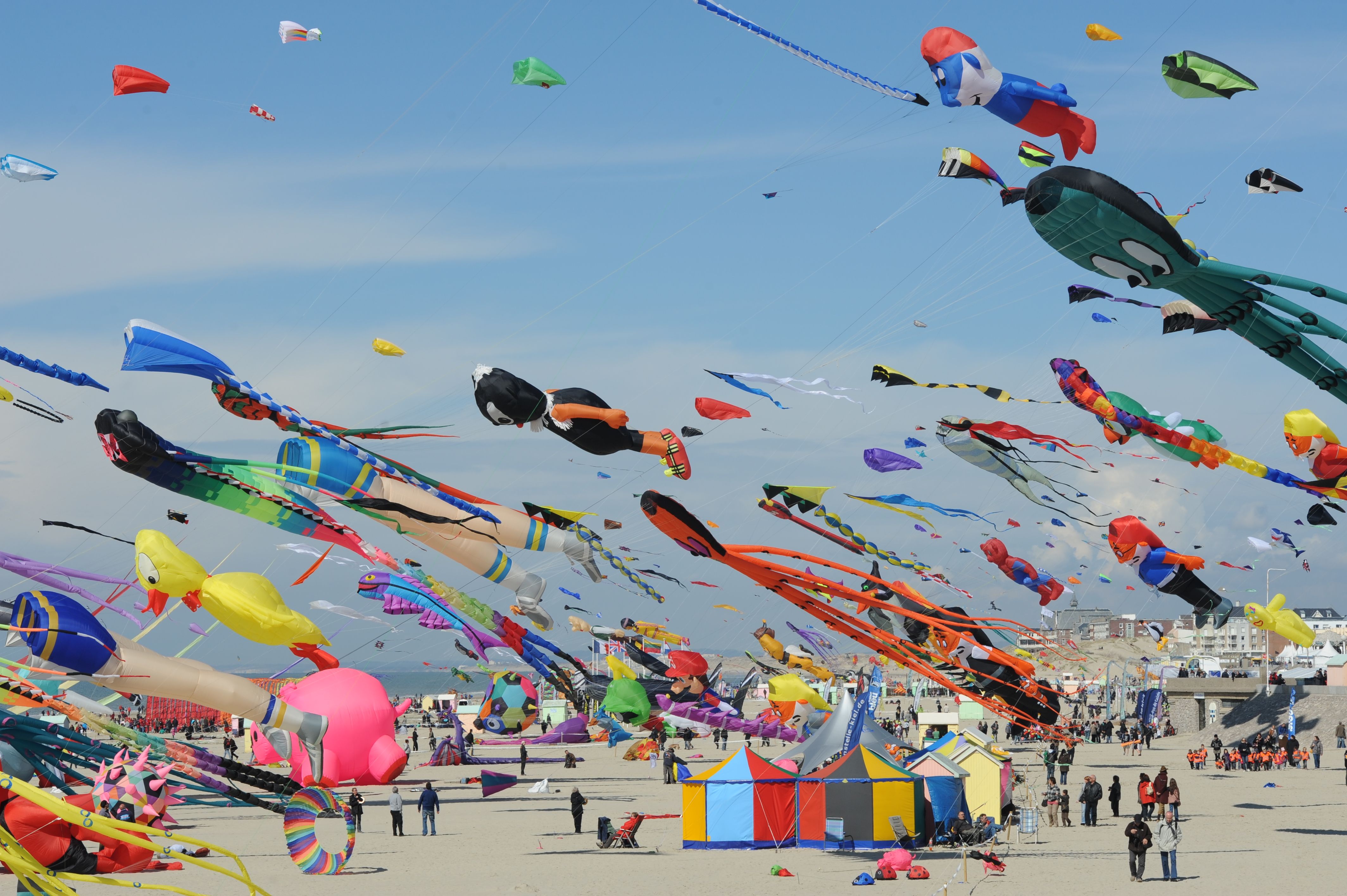 Amazing Kites at the International Kite Festival | www.digitourist ...