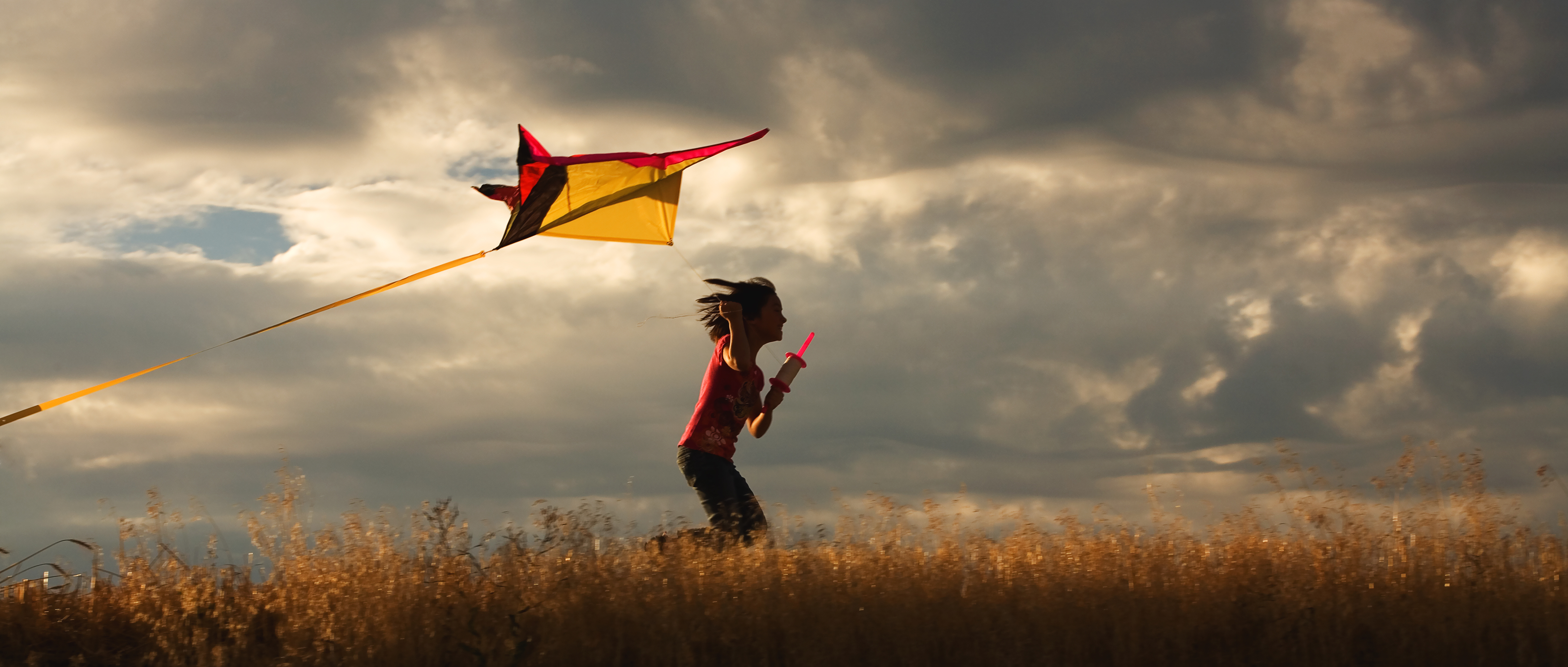 Kite Flying Day | Days Of The Year