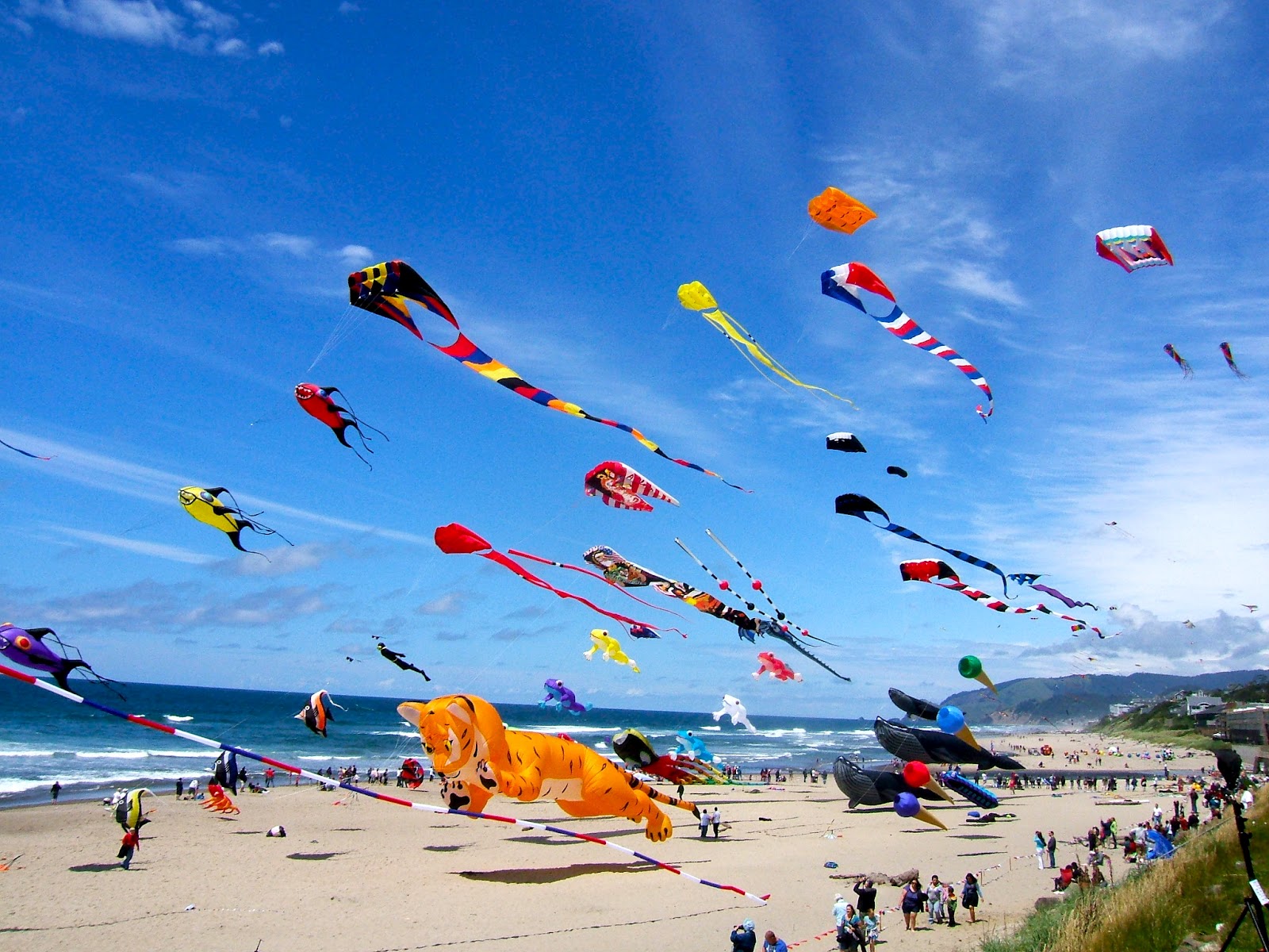 Kite flying delight for children at festival - North Cyprus Online ...