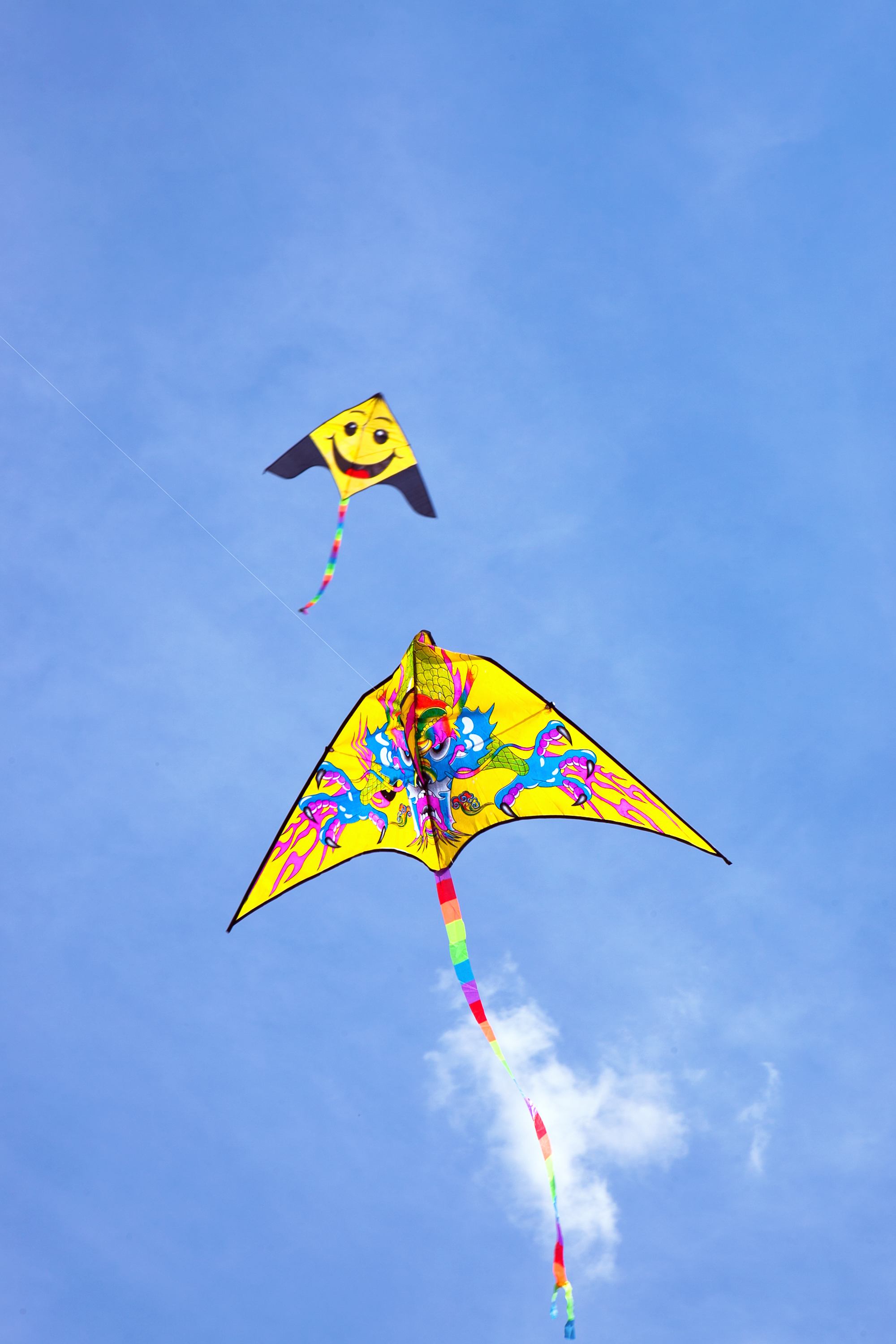 kite flying, Air, Blue, Fly, Free, HQ Photo