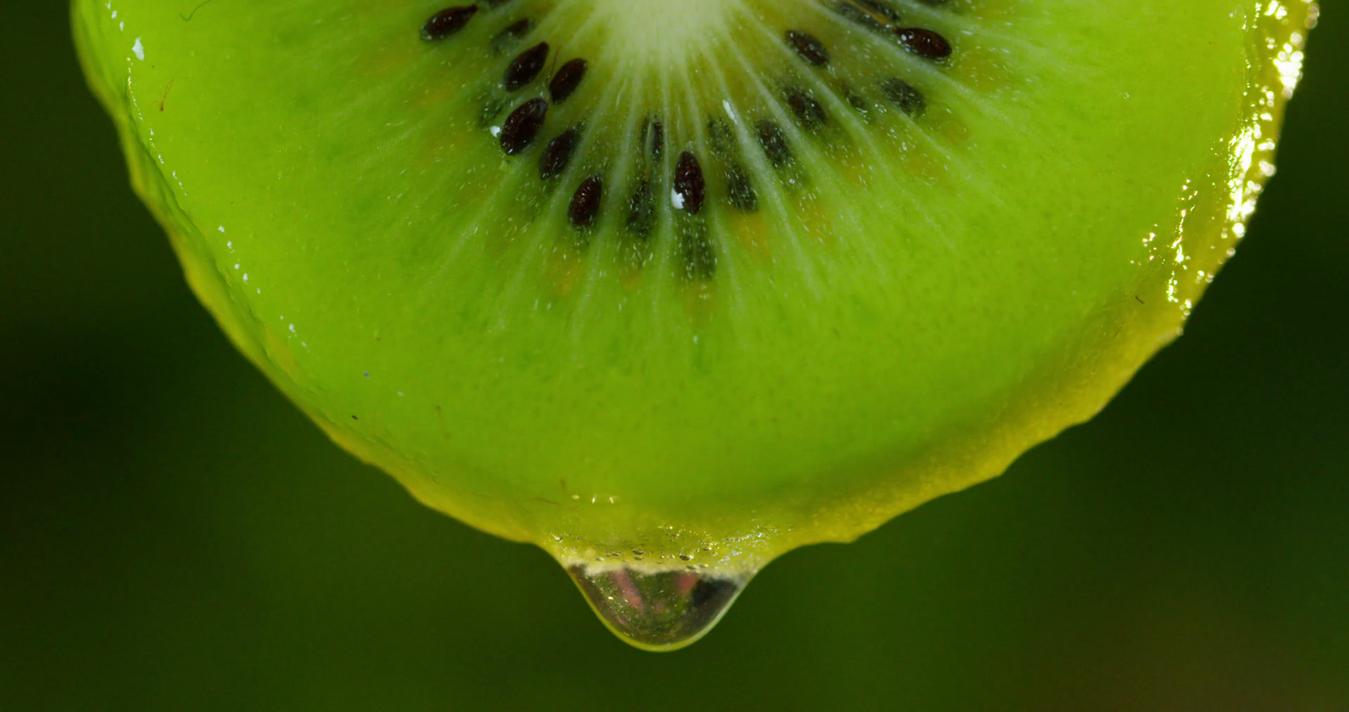Close up or macro of a slice of kiwi, a drop of water falls in slow ...