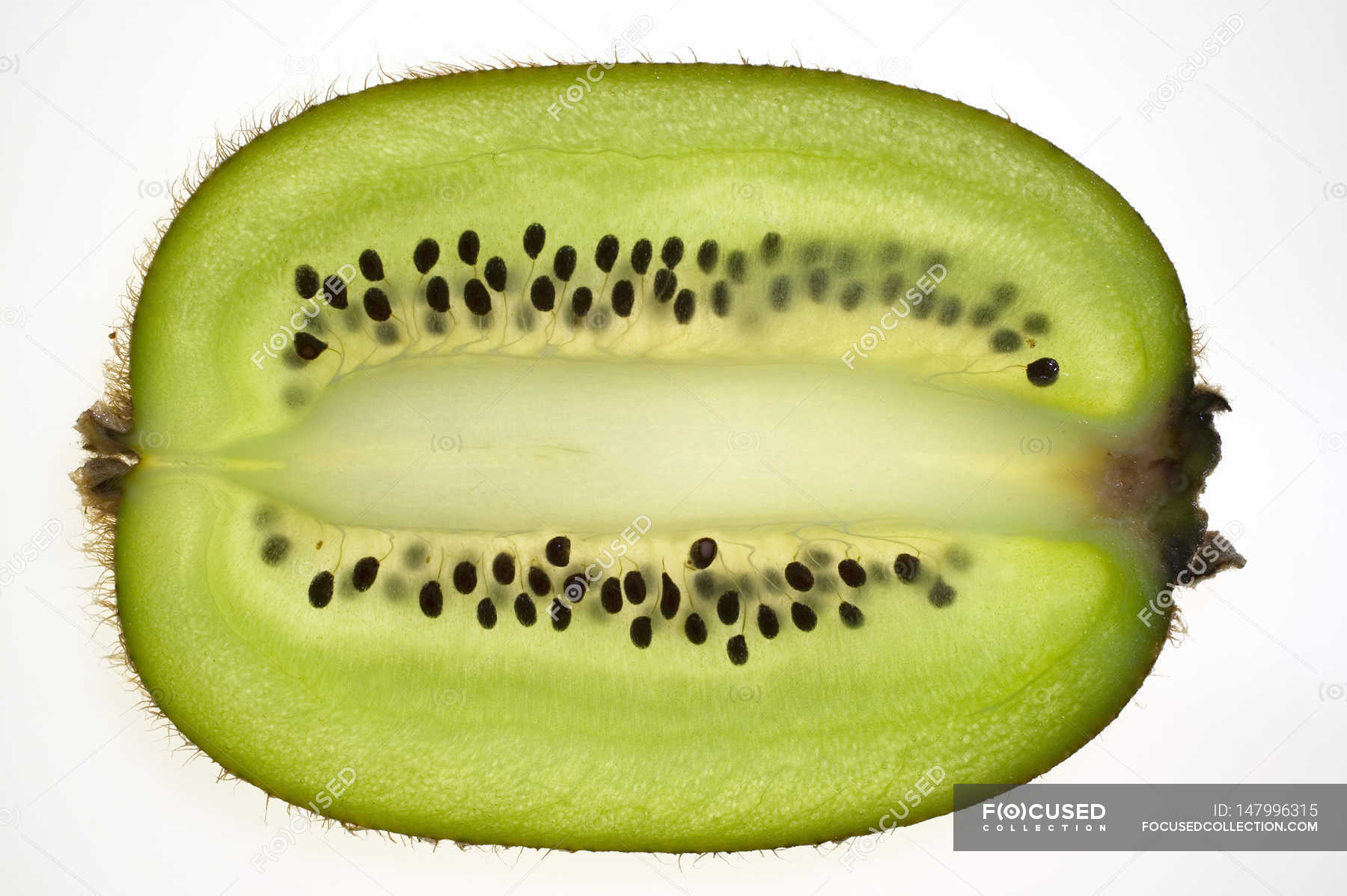Kiwi fruit, lengthwise slice — Stock Photo | #147996315