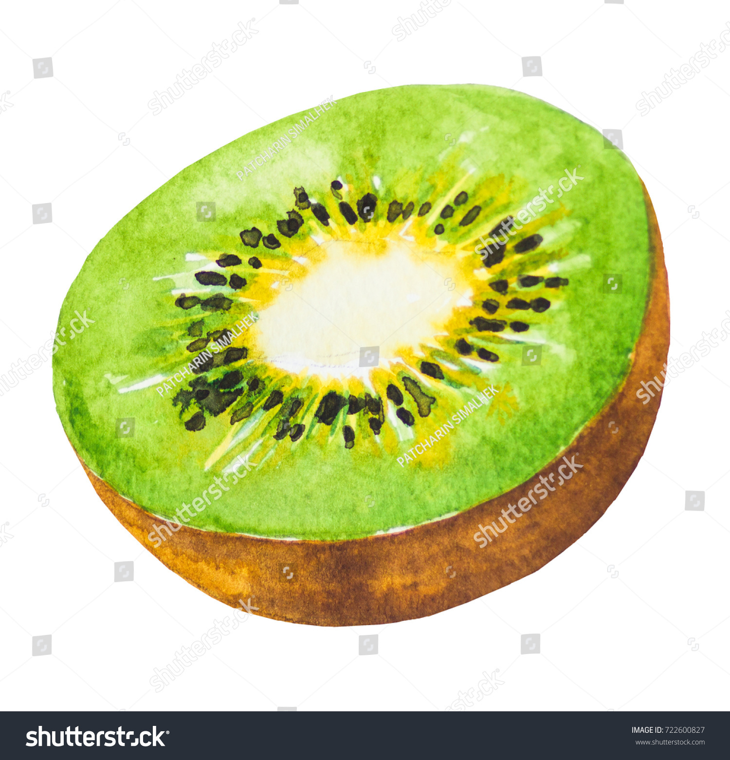 Kiwi Fruit Paintingpainted Watercolor Stock Illustration 722600827 ...