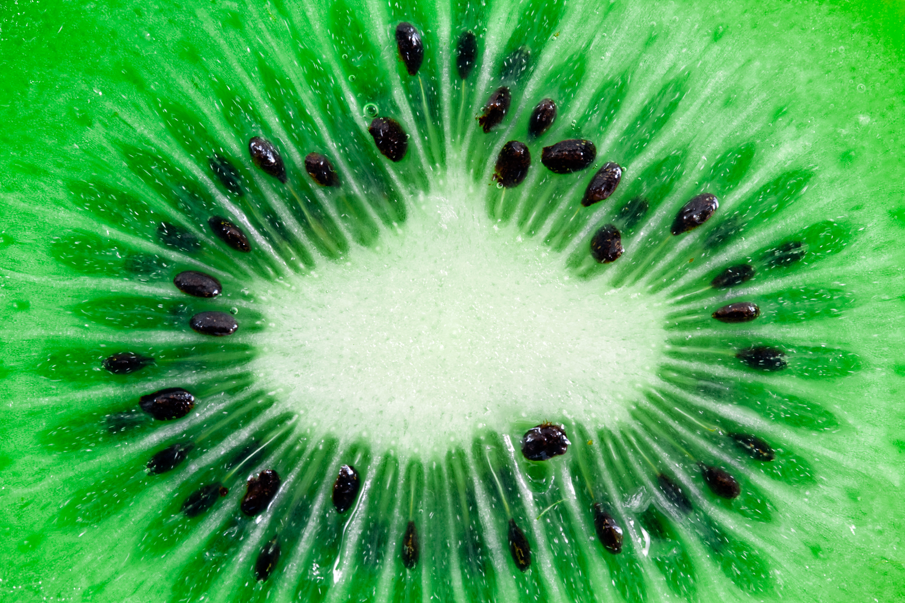 Kiwi Slice Macro, Abstract, Photograph, Picture, Produce, HQ Photo