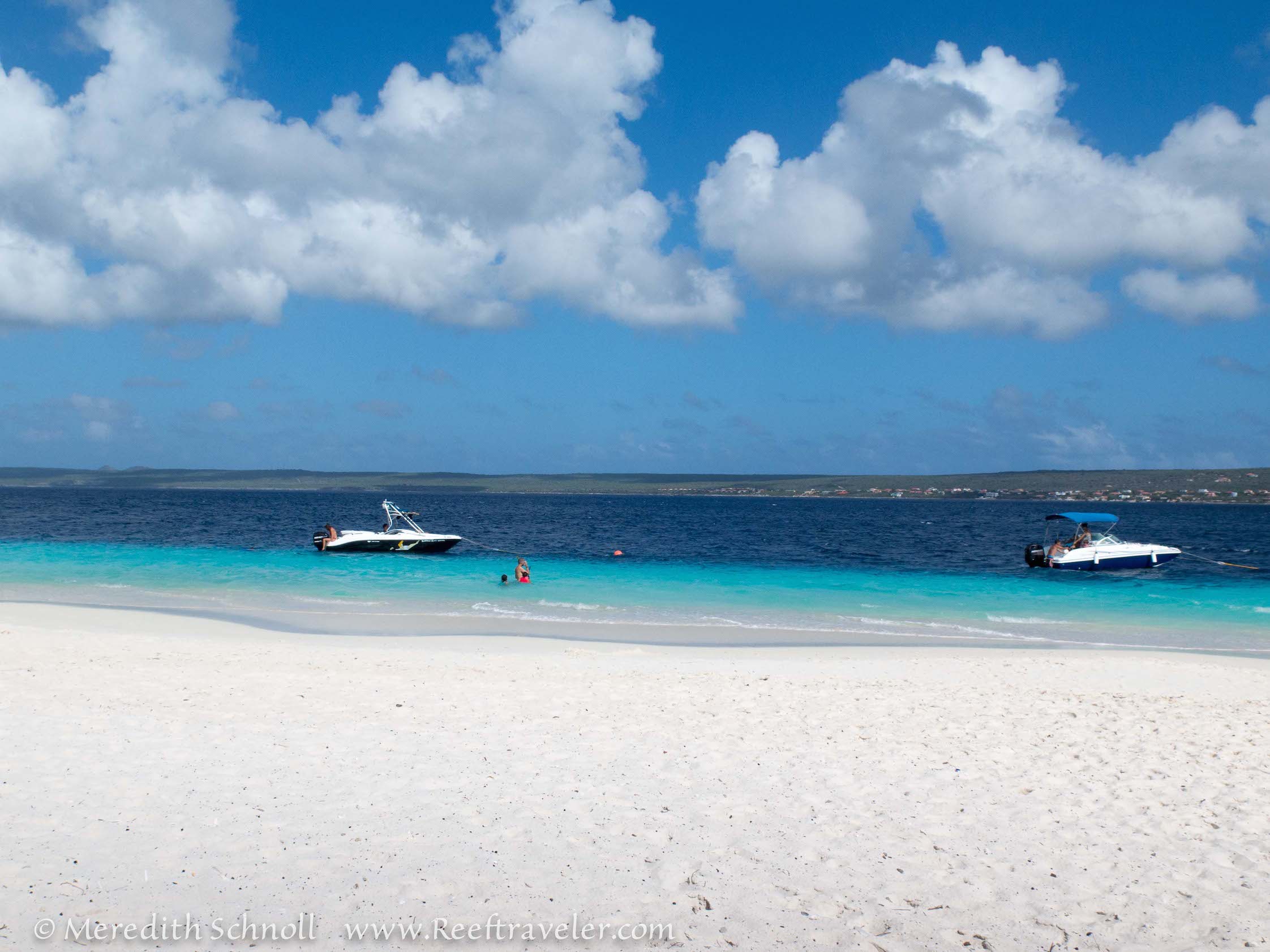 Reforesting Klein Bonaire | Reeftraveler
