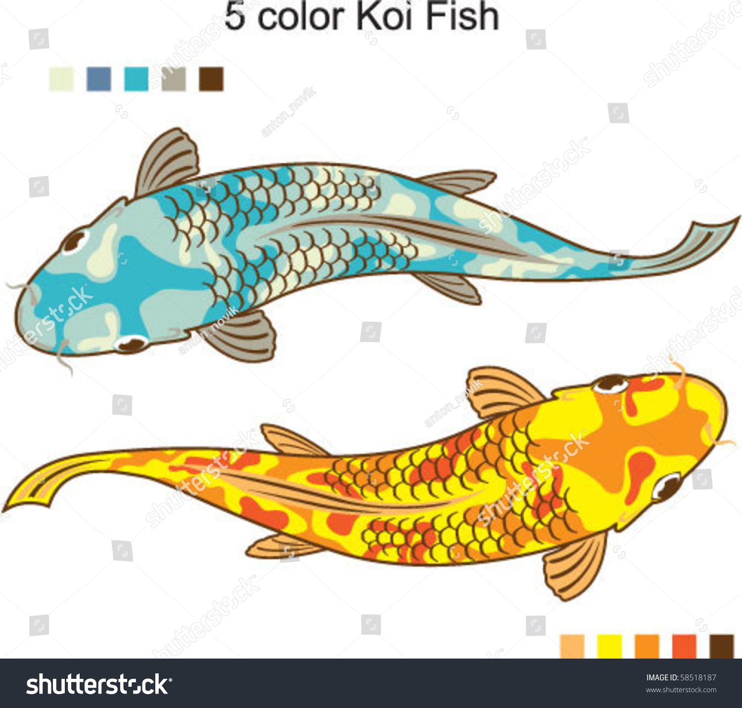 across the spectrum koi fish colors koi, 4 color koi fish vector ...