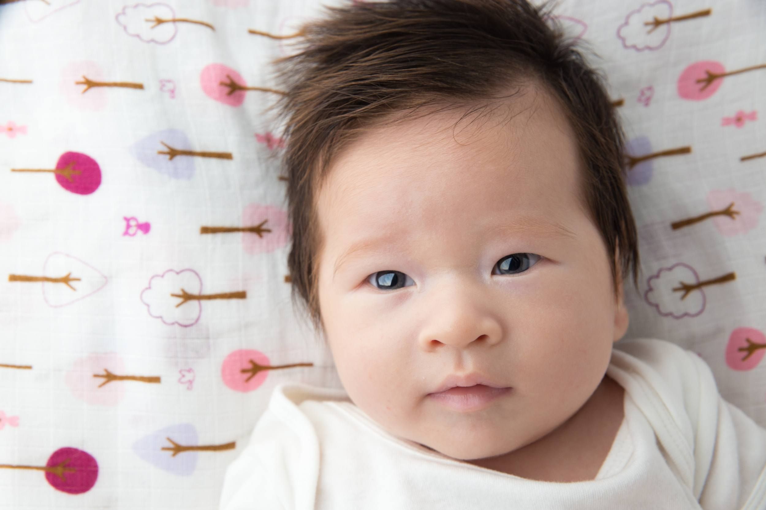 Korea's baby market undeterred by economic slowdown | http://goo.gl ...
