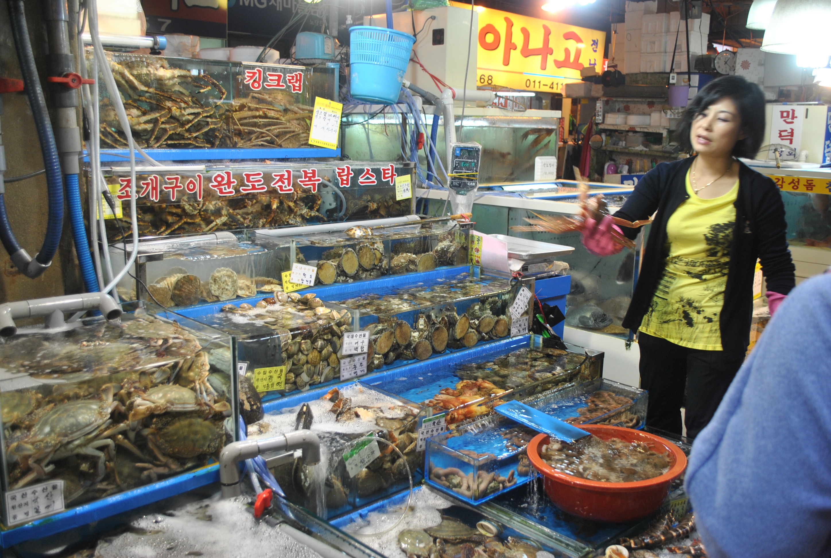 Noryangjin Fish Market (Seoul, South Korea) | marjorierwilliams.com