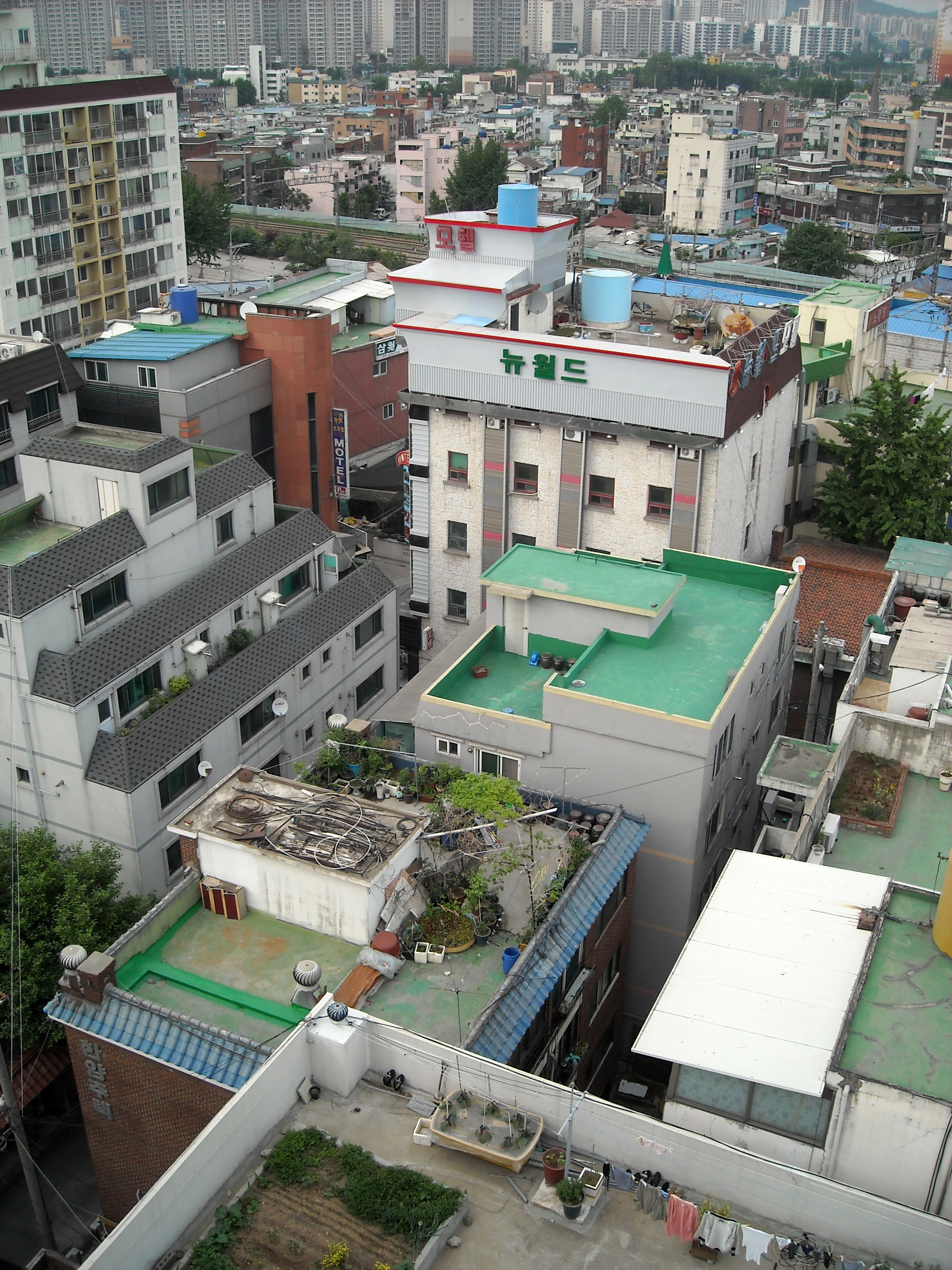 Korea: Rooftop lounging | Cupcakes Always Win