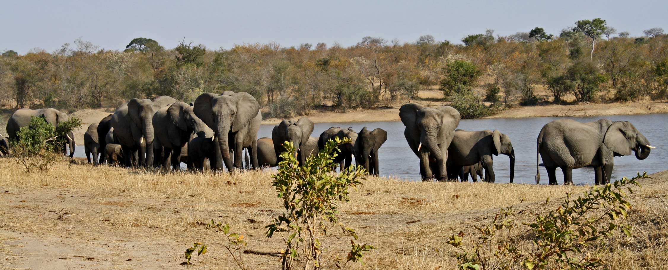 Why visit the Kruger National Park - Africa Adventure Travels