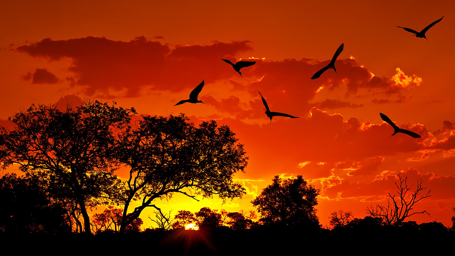 Landscape of South Africa with warm sunset, Kruger National Park ...