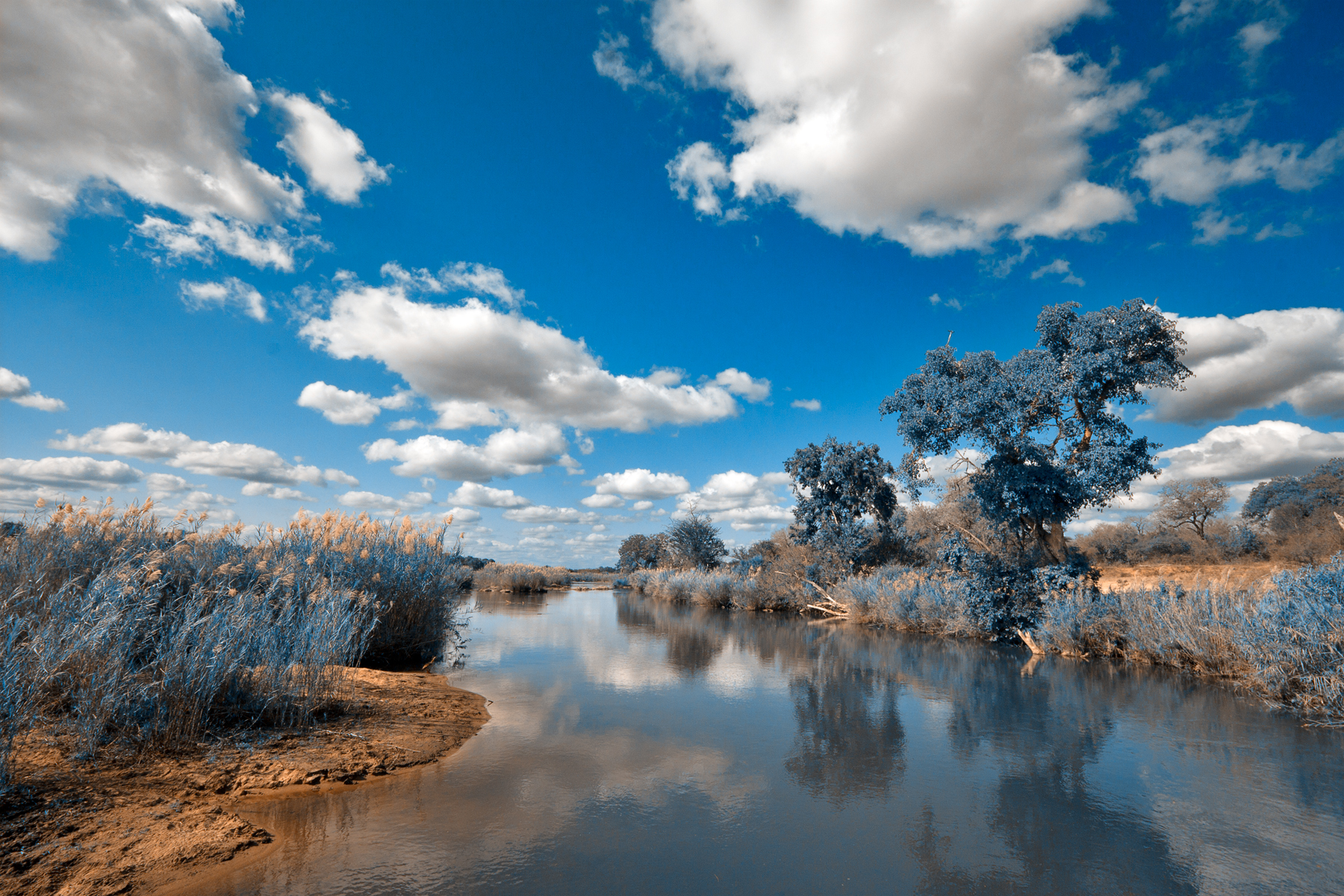 Kruger park landscape - winter blue photo
