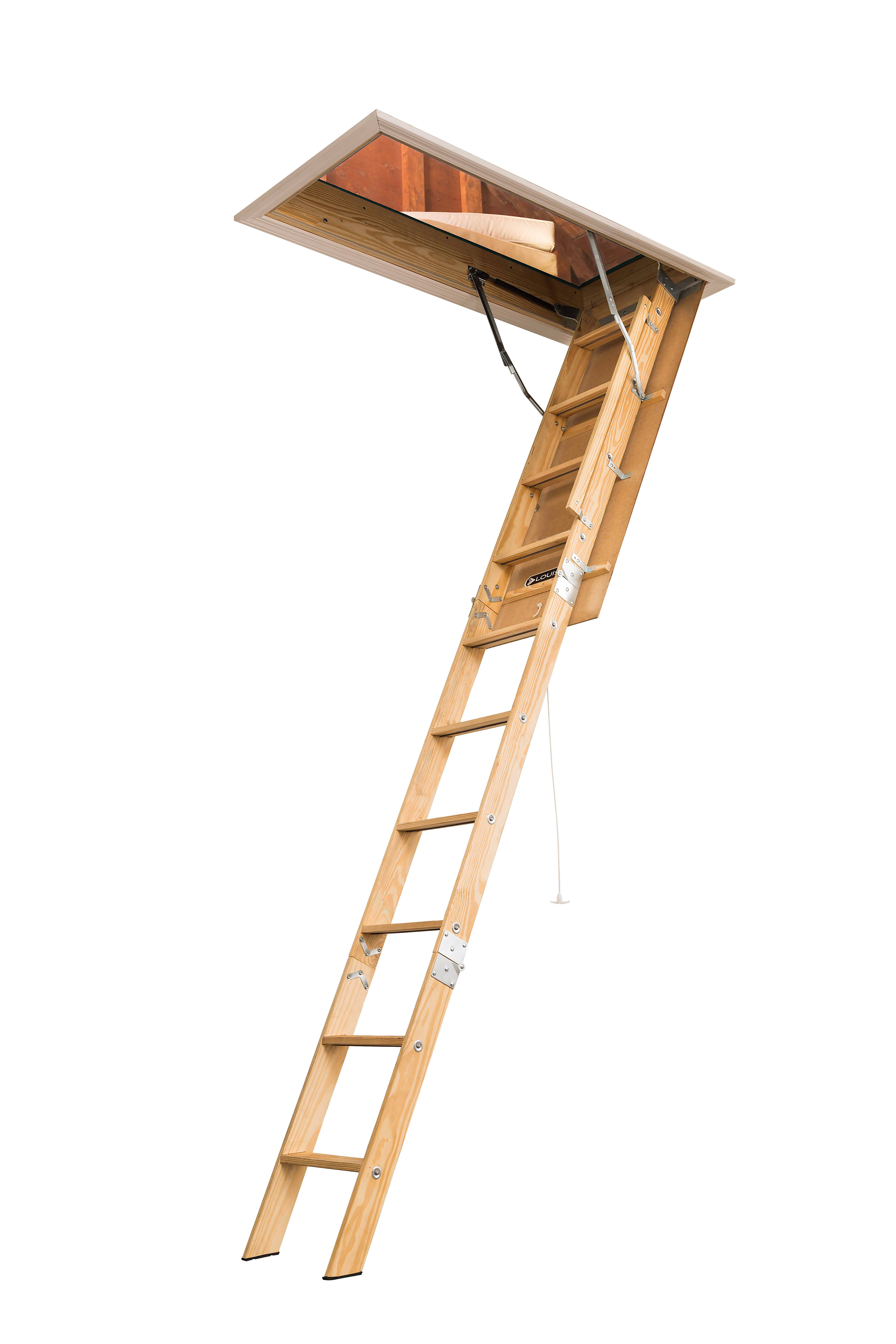 Shop Ladders at Lowes.com