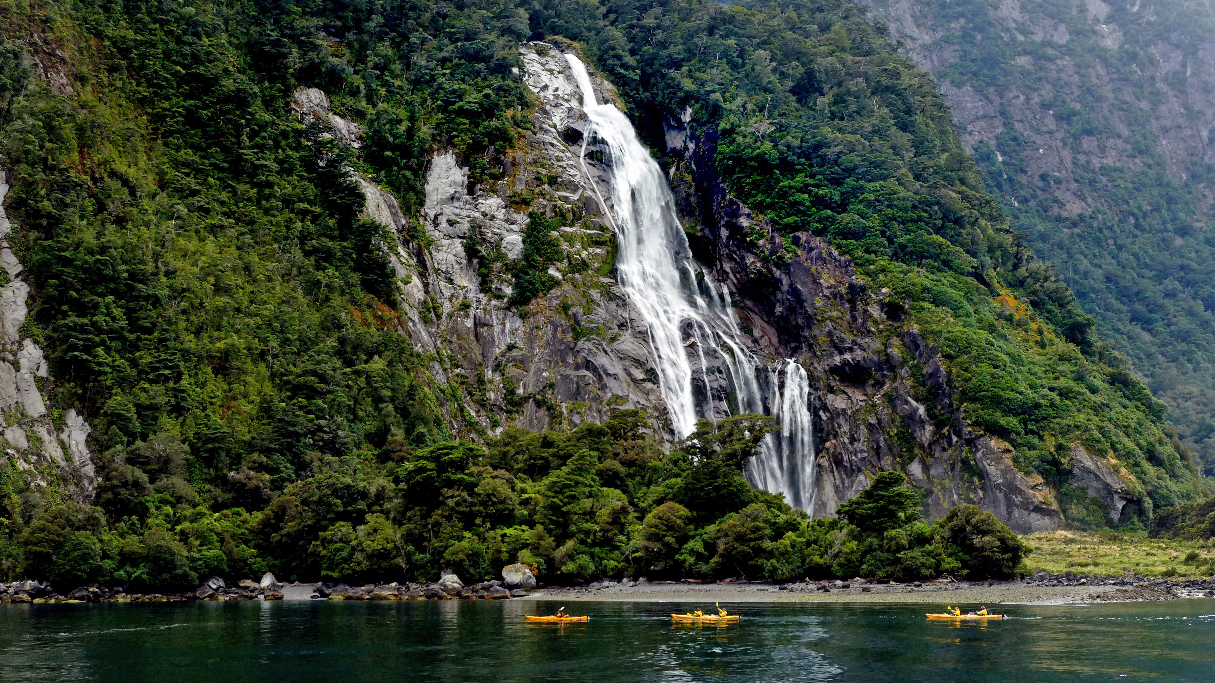 Lady Bowen Falls, Milford Sound, New Zealand, Brilliant, Forest, Free photos, Geo tagged, HQ Photo
