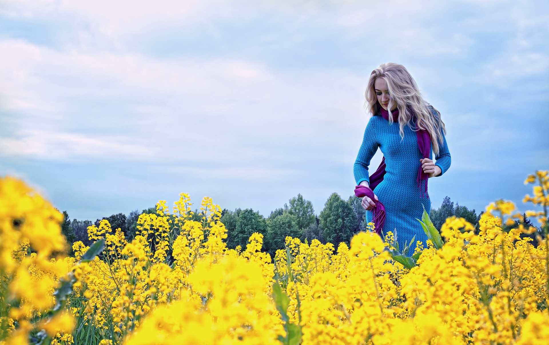 Lady in the dandelion field photo