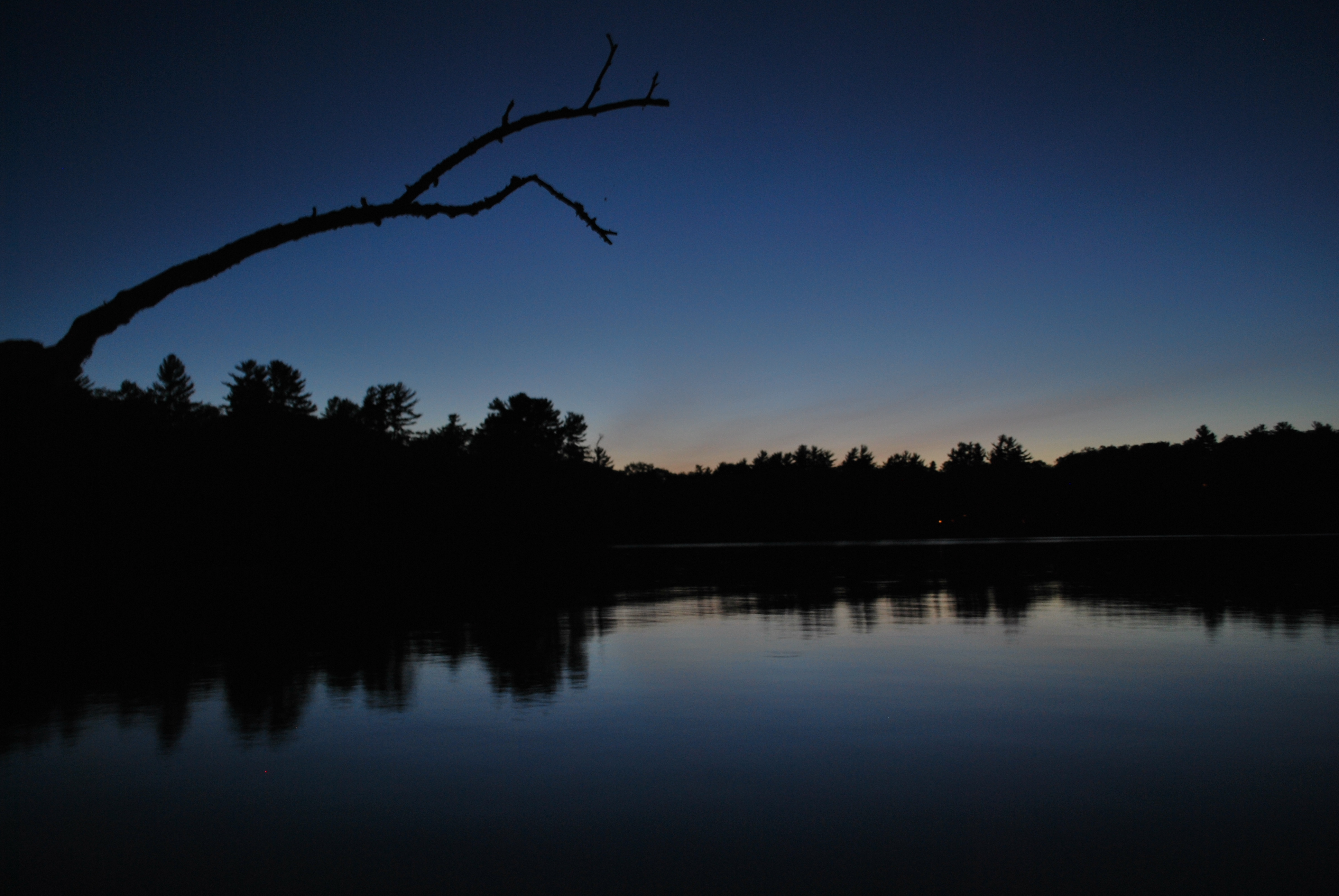 branch over blue lake night | Blue Lake Free Press