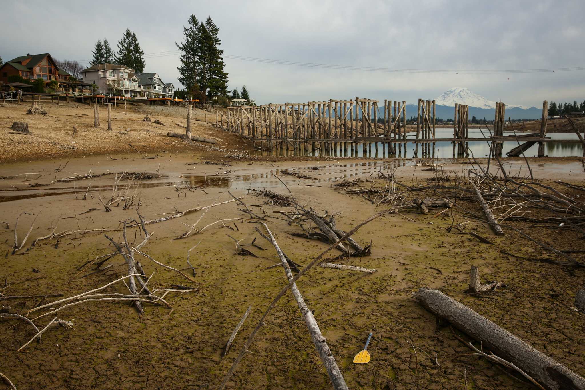 Drained Lake Tapps exposes underwater forests, lost items ...