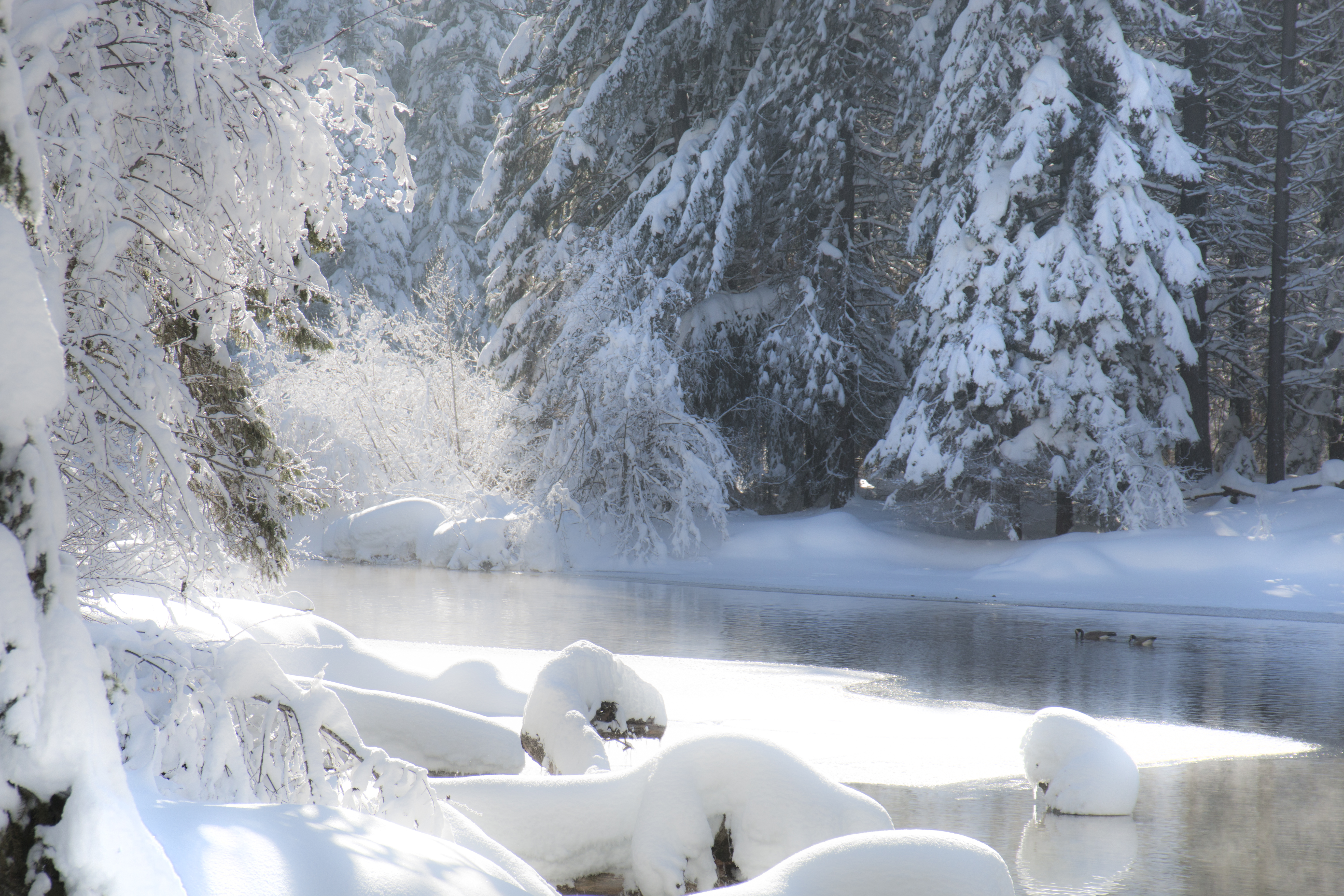 Lake Creek, Oregon, Bright Sun on Snow, Lake Creek, Oregon, Snow, Water, HQ Photo