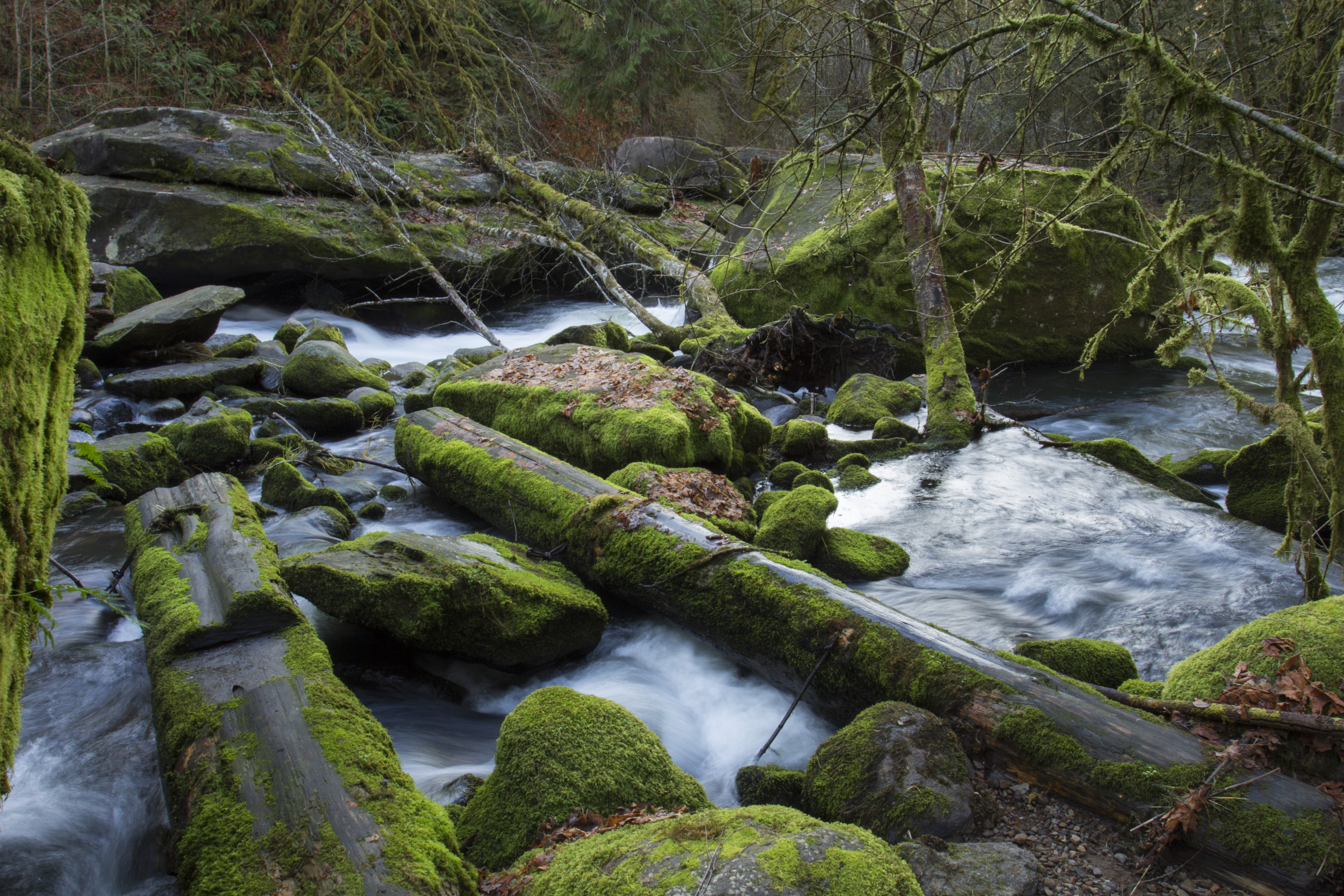 Lake Creek, Oregon, Capture, Running, Waterfall, Water, HQ Photo