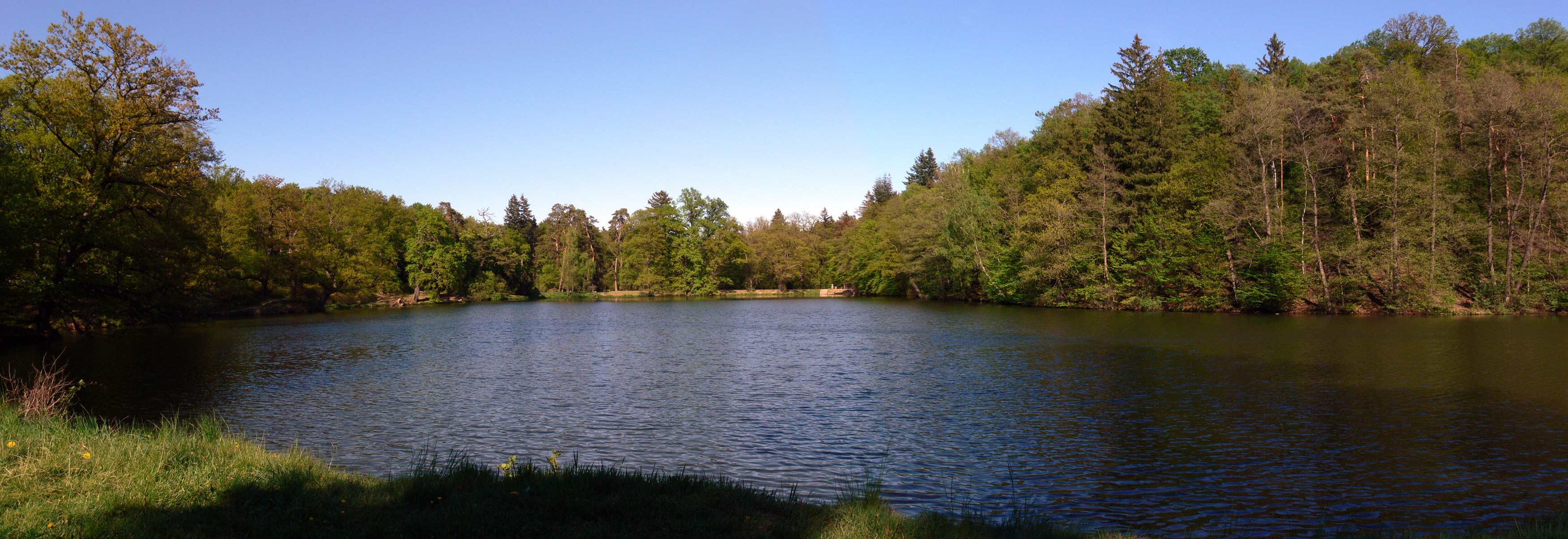 Lake in the park photo