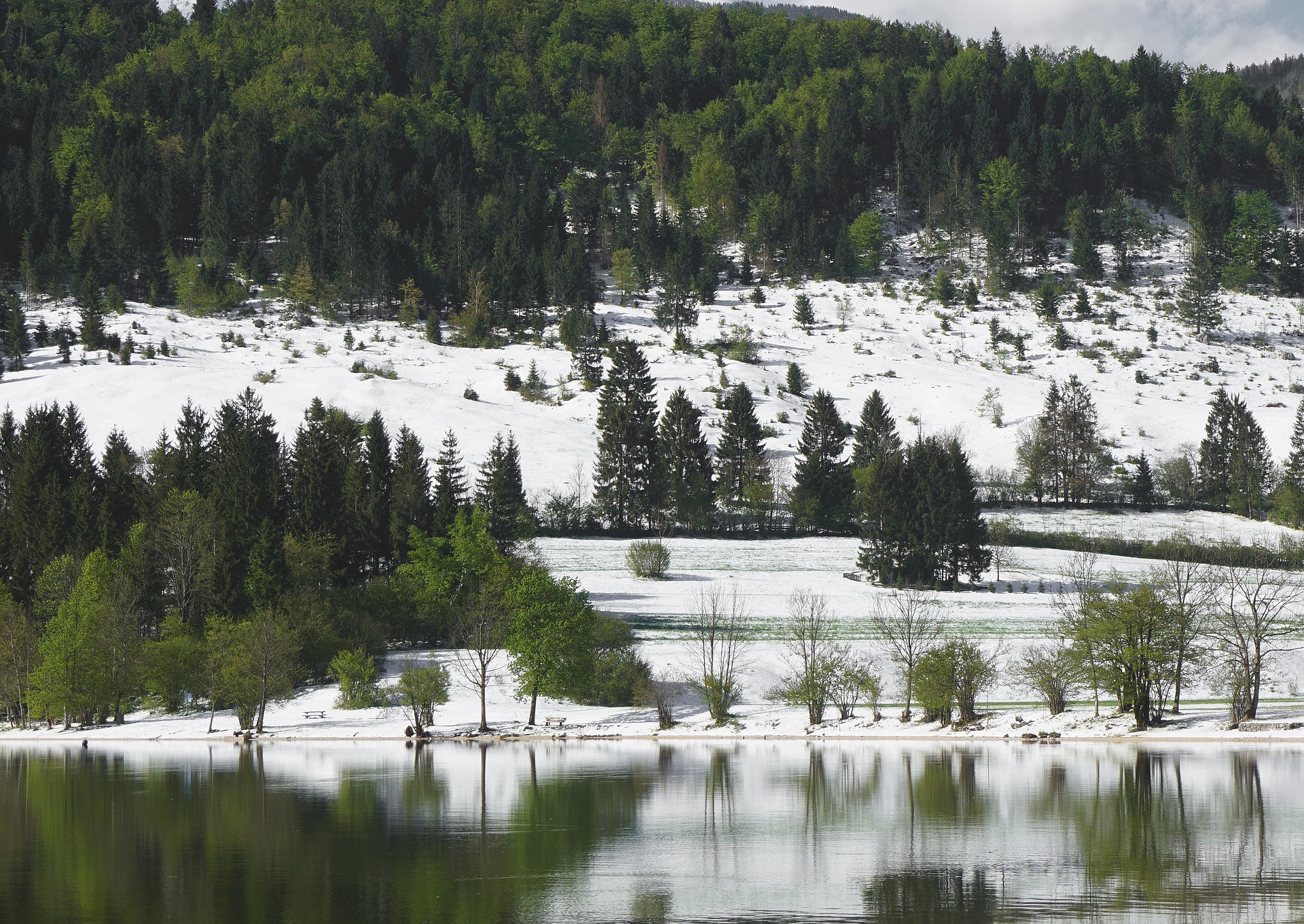 Lake in winter photo