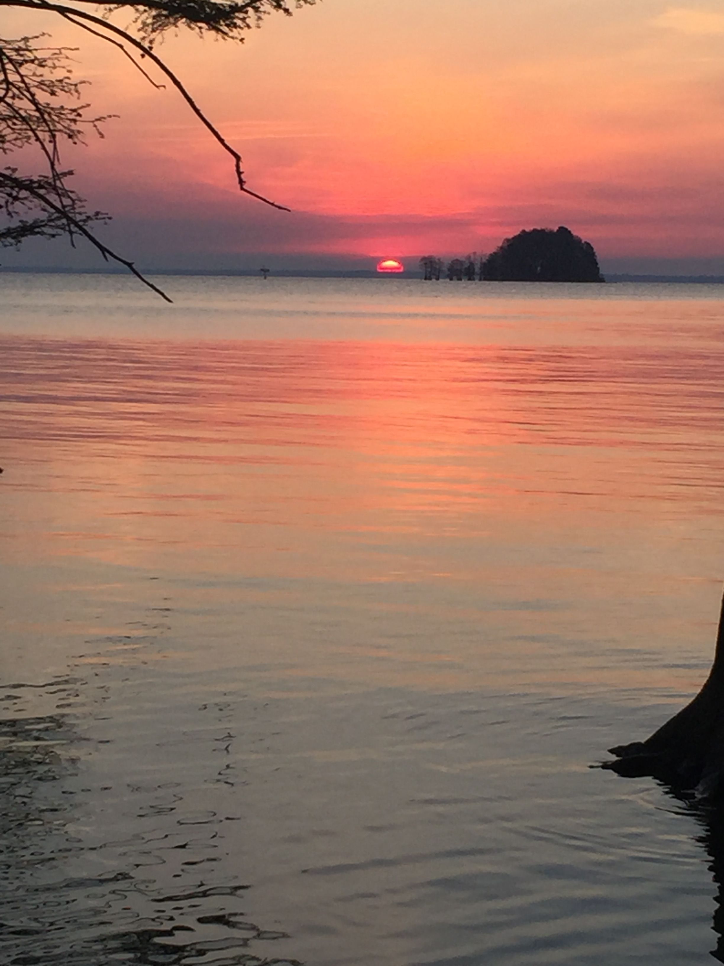 Sunrise on Lake Moultrie. South Carolina's third largest lake. | SUN ...