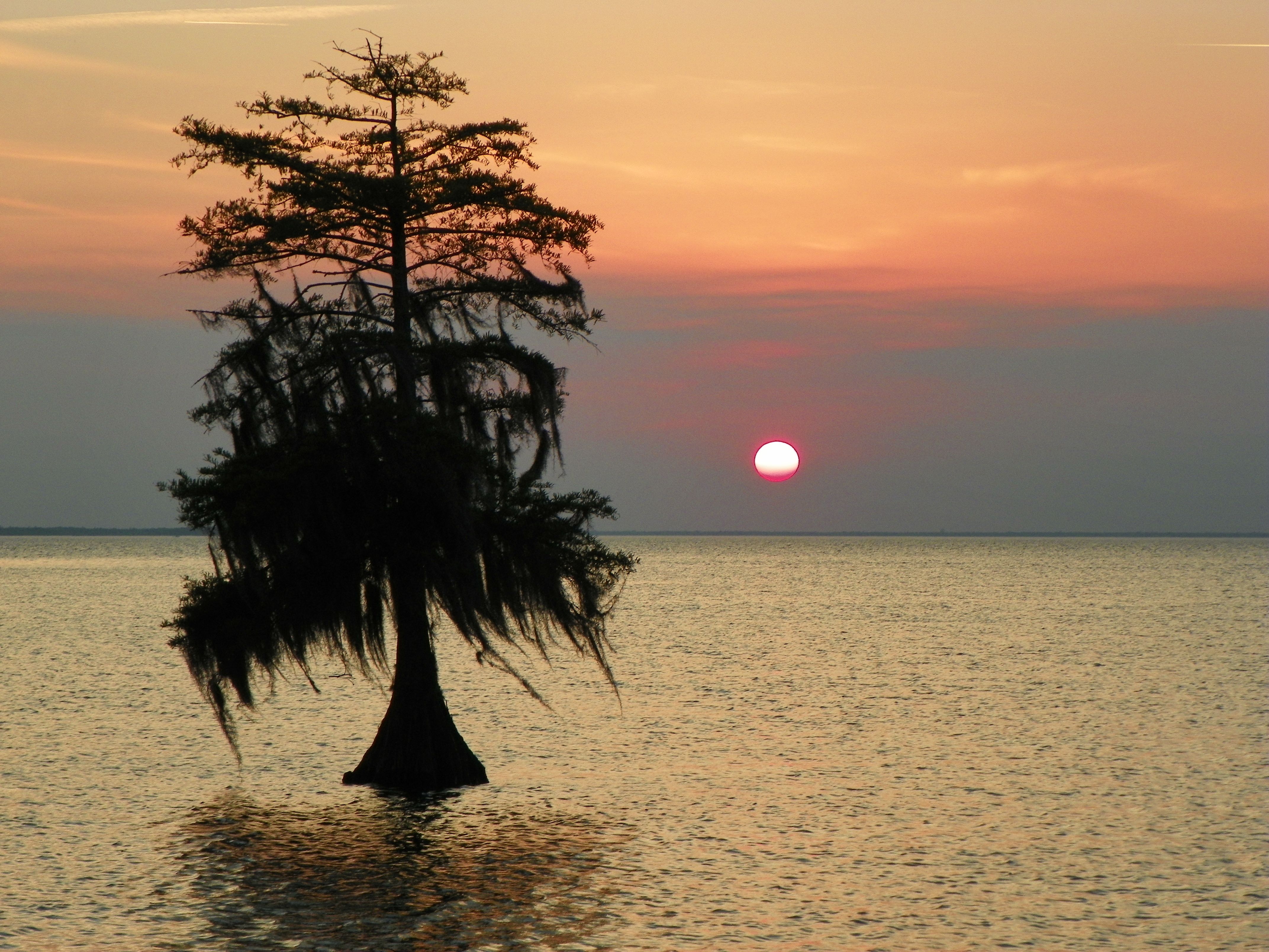 Sunset on Lake Moultrie in SC | Boating, camping, hunting & fishing ...