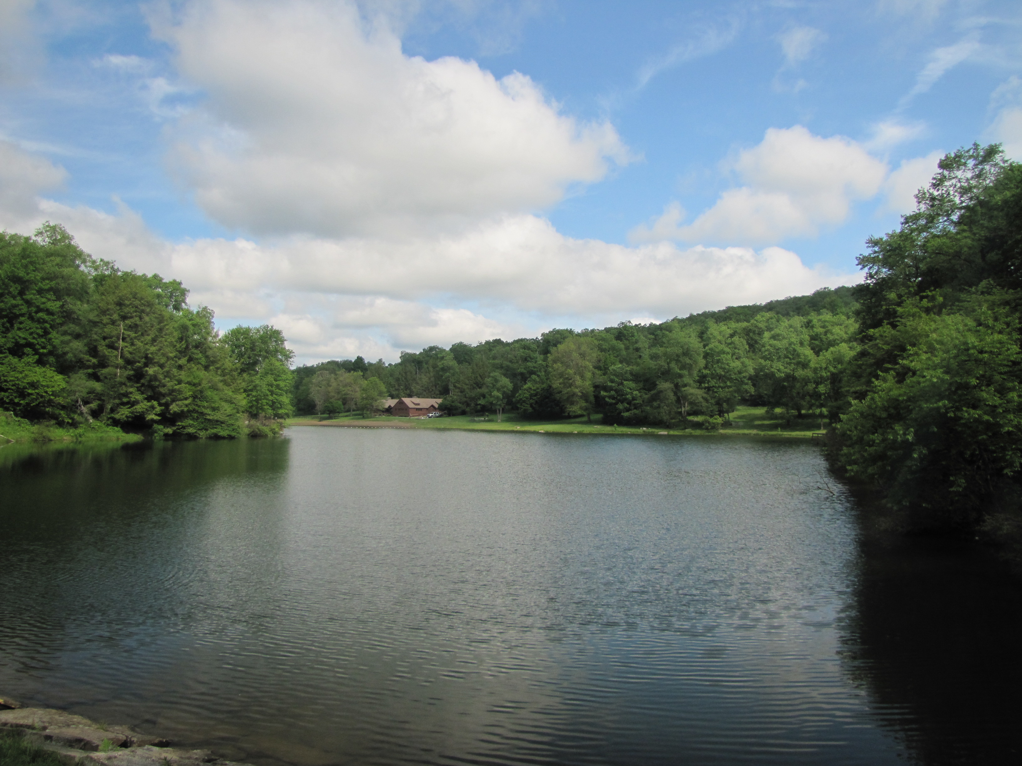 Allegheny National Forest - Twin Lakes Recreation Area and Black ...