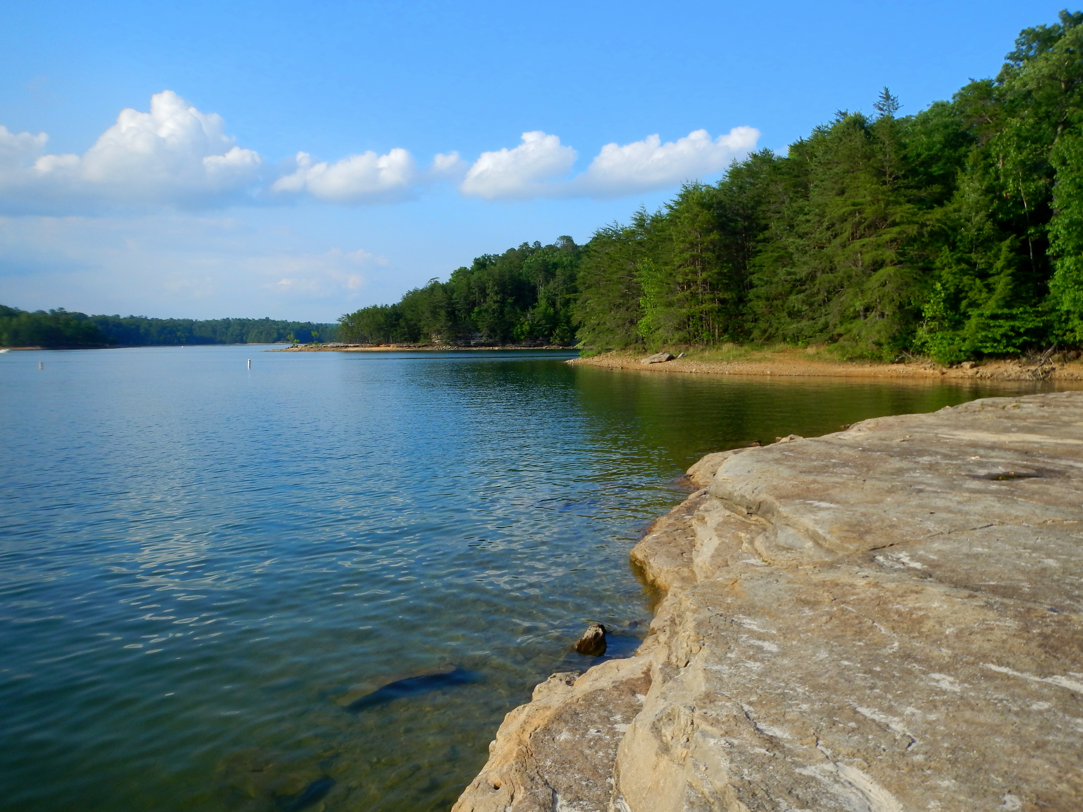 Swimming in Lake Laurel River | Another Walk in the Park
