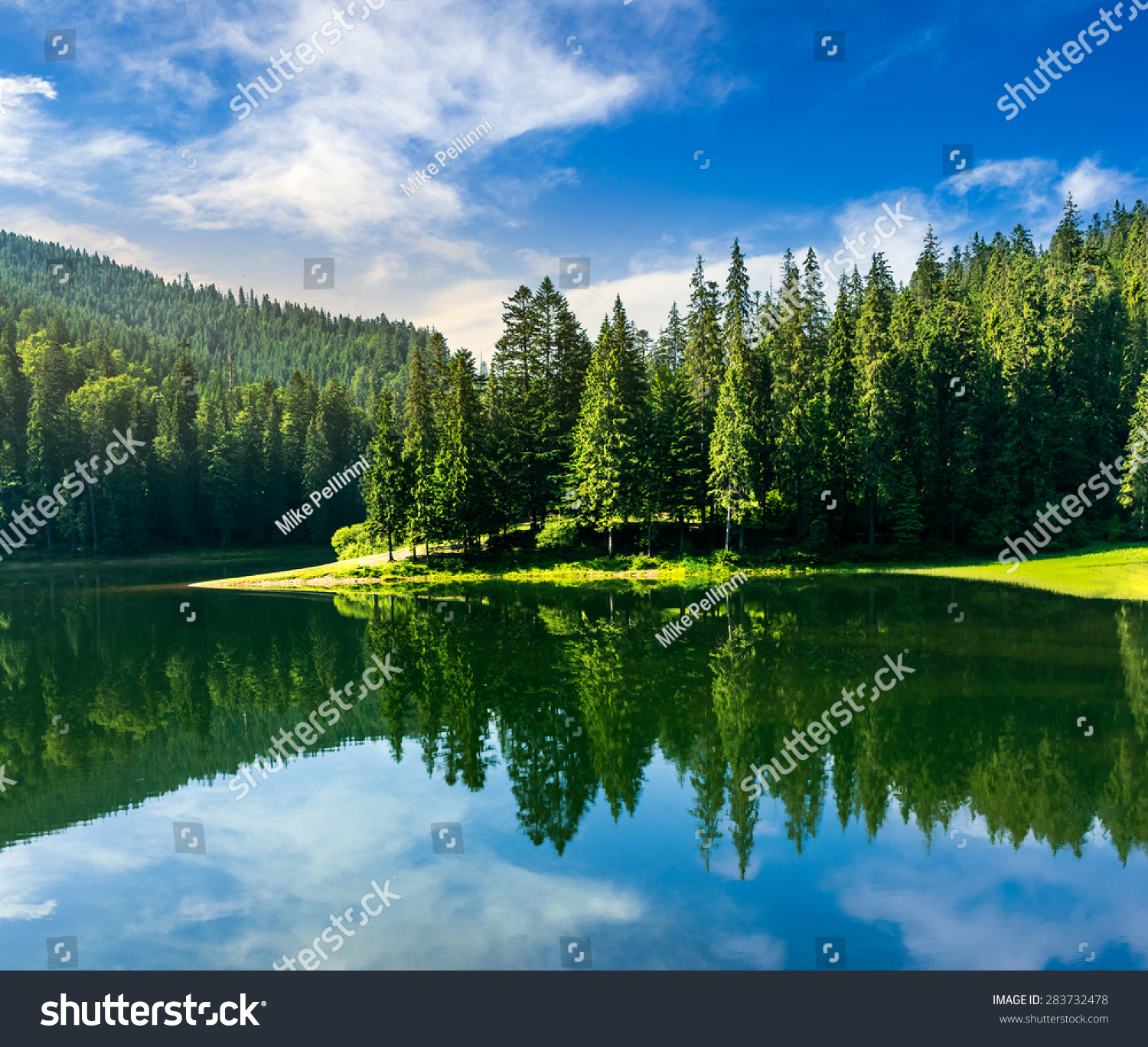 Lake Near Pine Forest Mountains Morning Stock Photo (Download Now ...