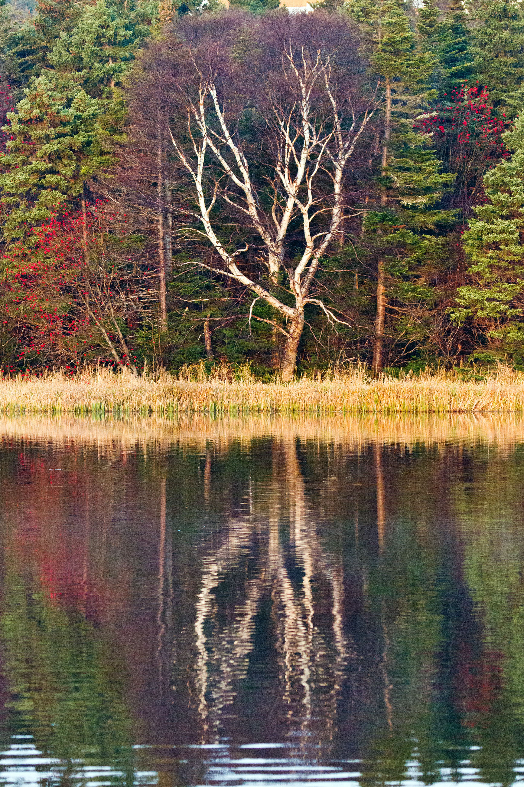 Lake reflection photo
