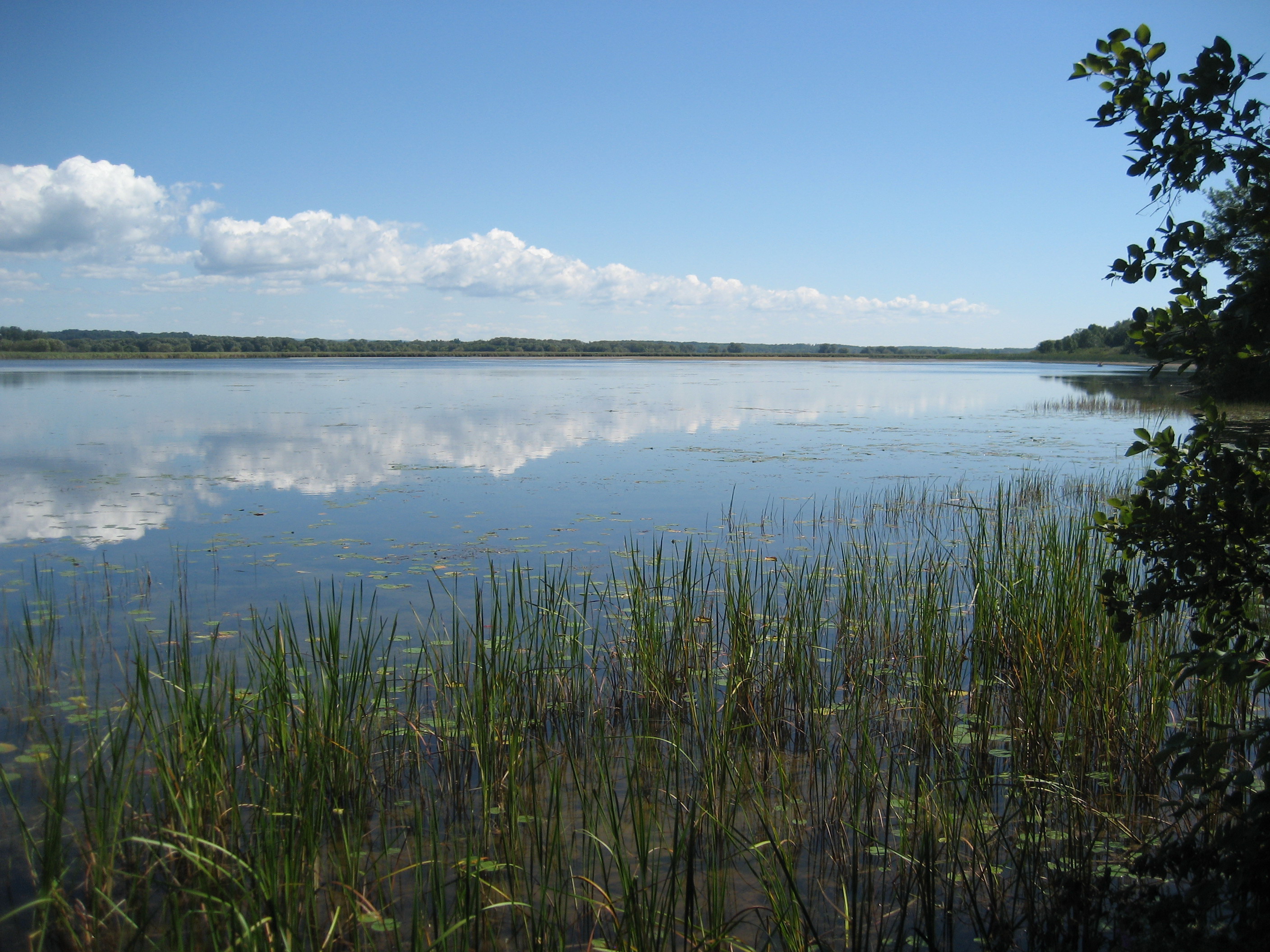 File:Lakeview Pond NY.jpg - Wikimedia Commons